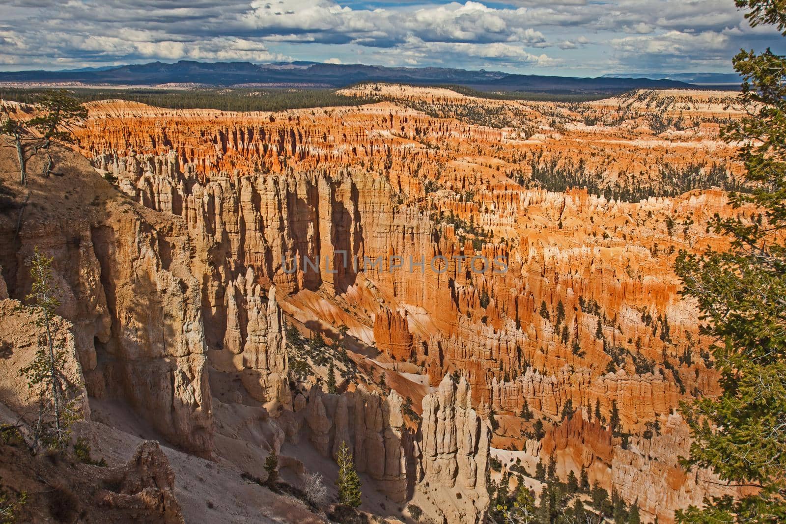 View over Bryce Canyon National Park Utah from the Rim Trail,