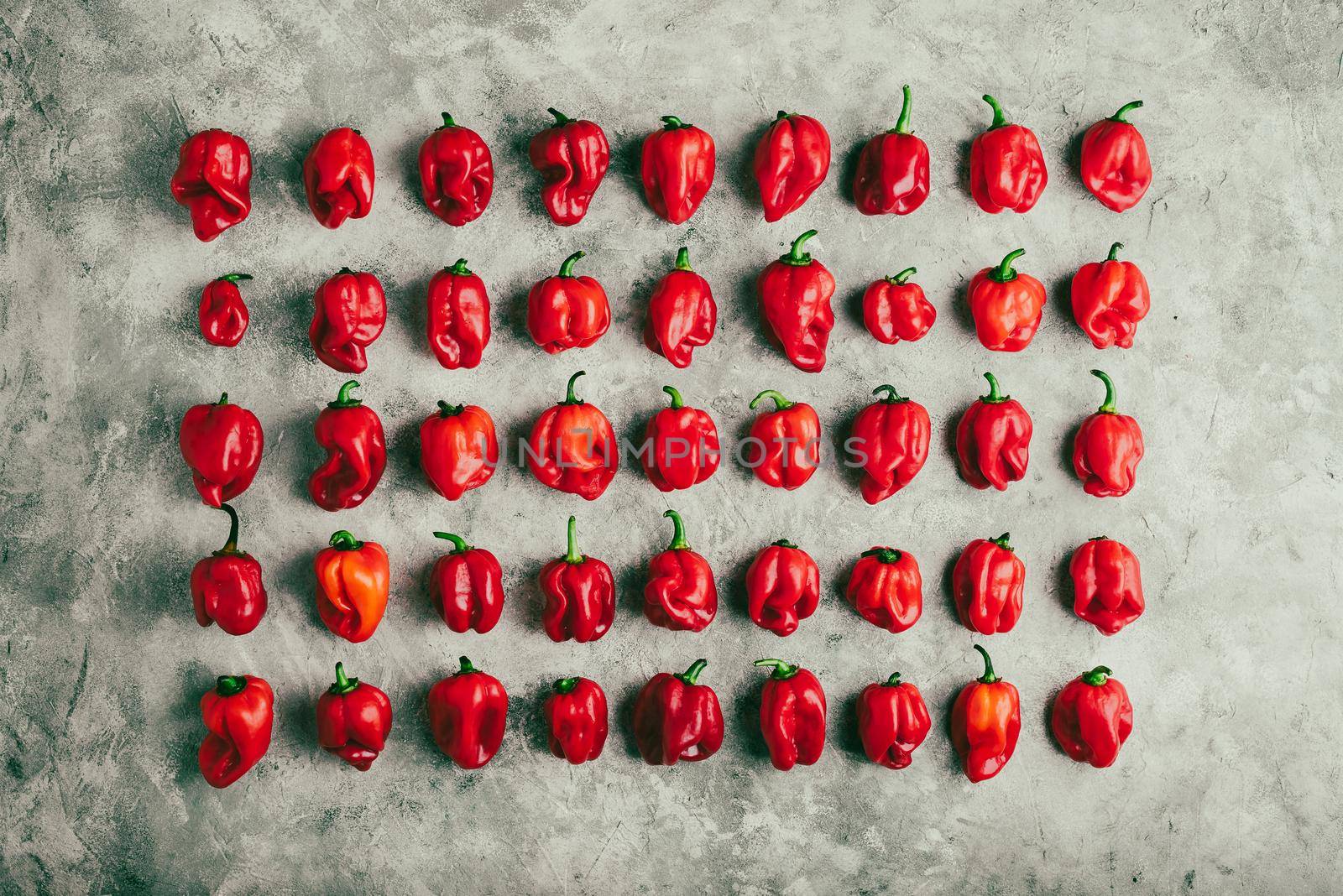 Rows of Red Habanero Peppers on Gray Concrete Surface. View from Above