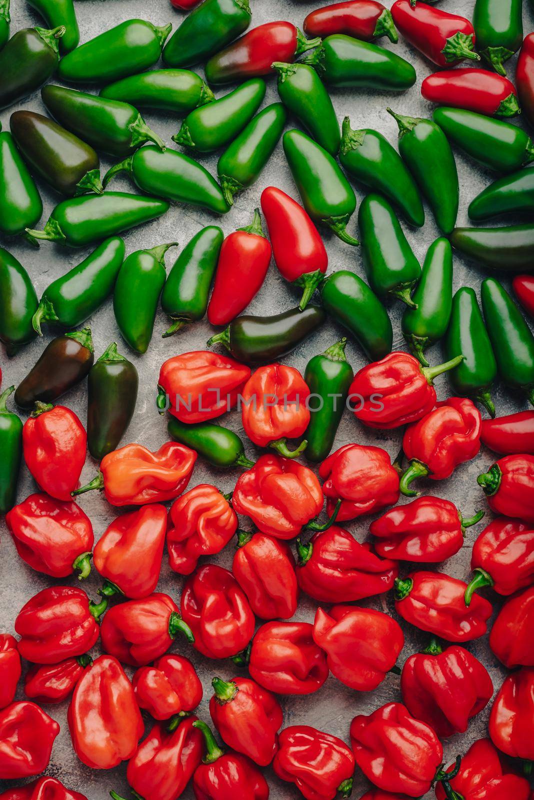 Sorted Hot Jalapeno and Habanero Peppers on Concrete Background. View from Above