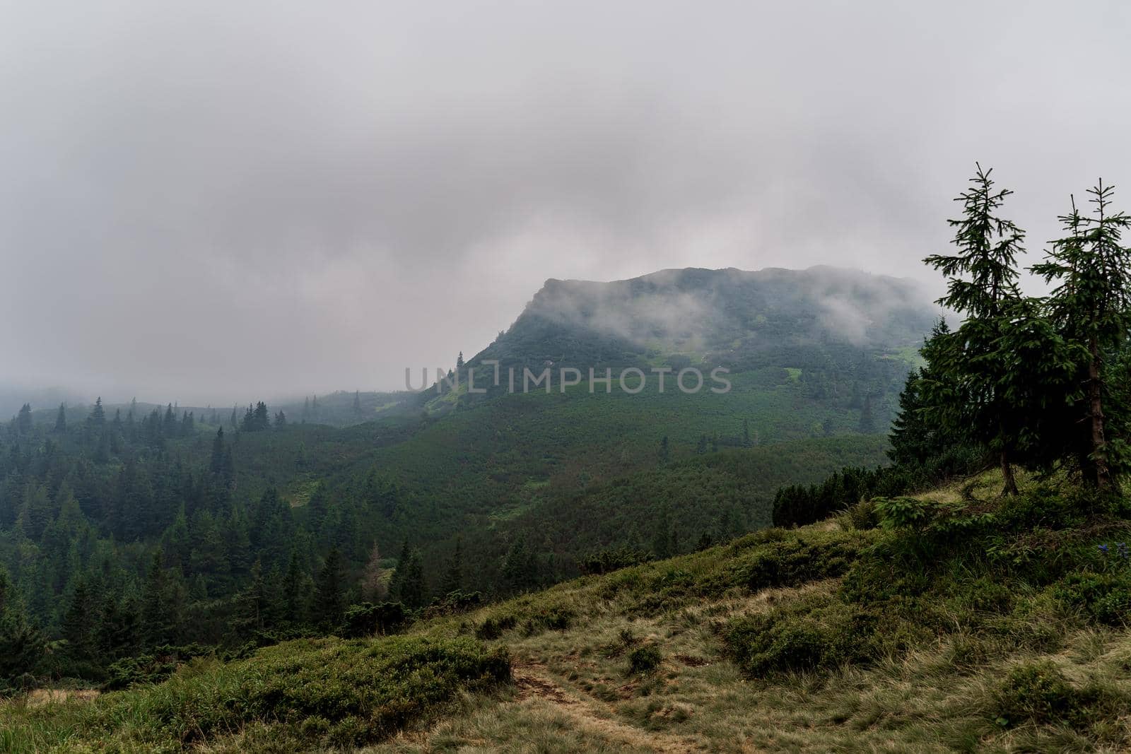 Dusk in the mountains before a storm and a thunderstorm on a rainy and foggy day. Severe weather conditions. Peaks of the Carpathian Mountains.