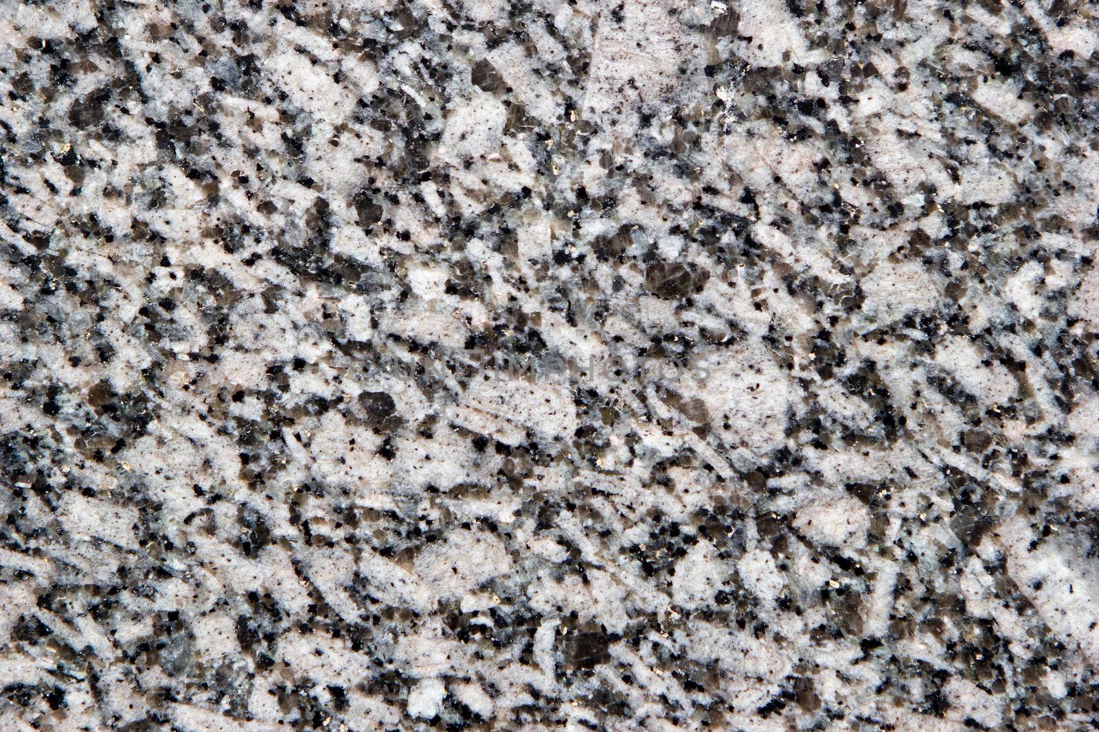 Granite texture. Natural black and white granite. Top view by Laguna781