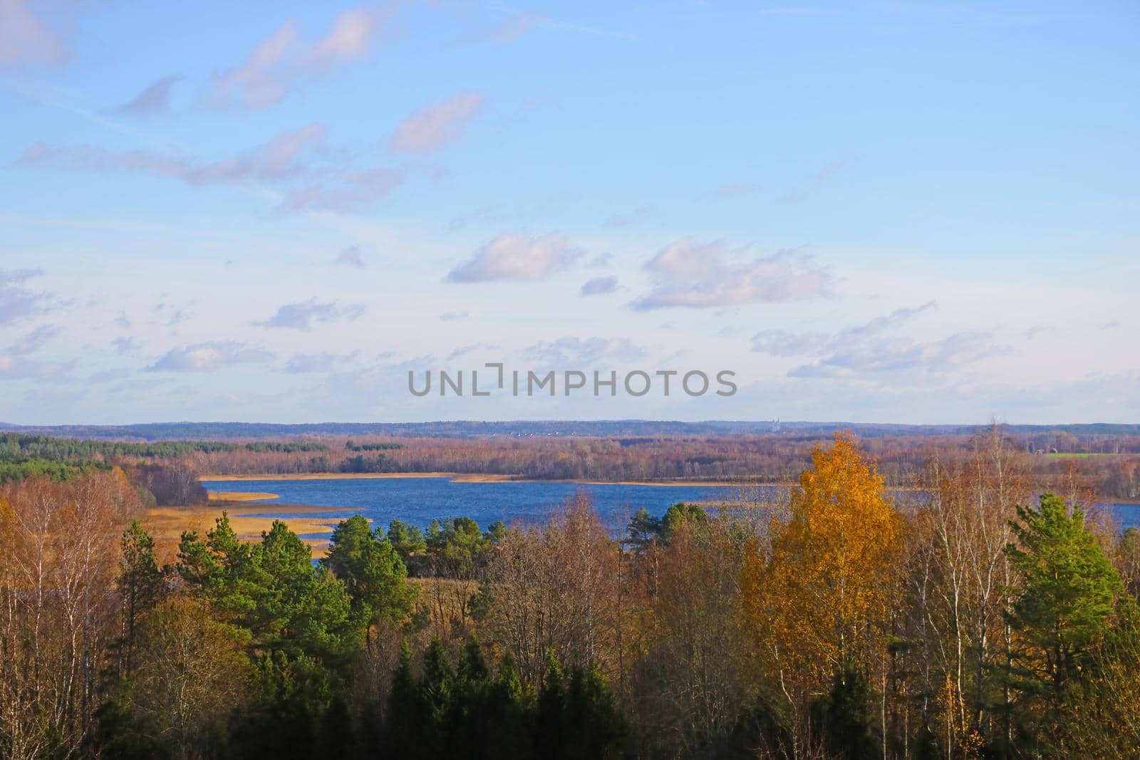 View from the height of the lake and forest in autumn. Out of focus, blurred