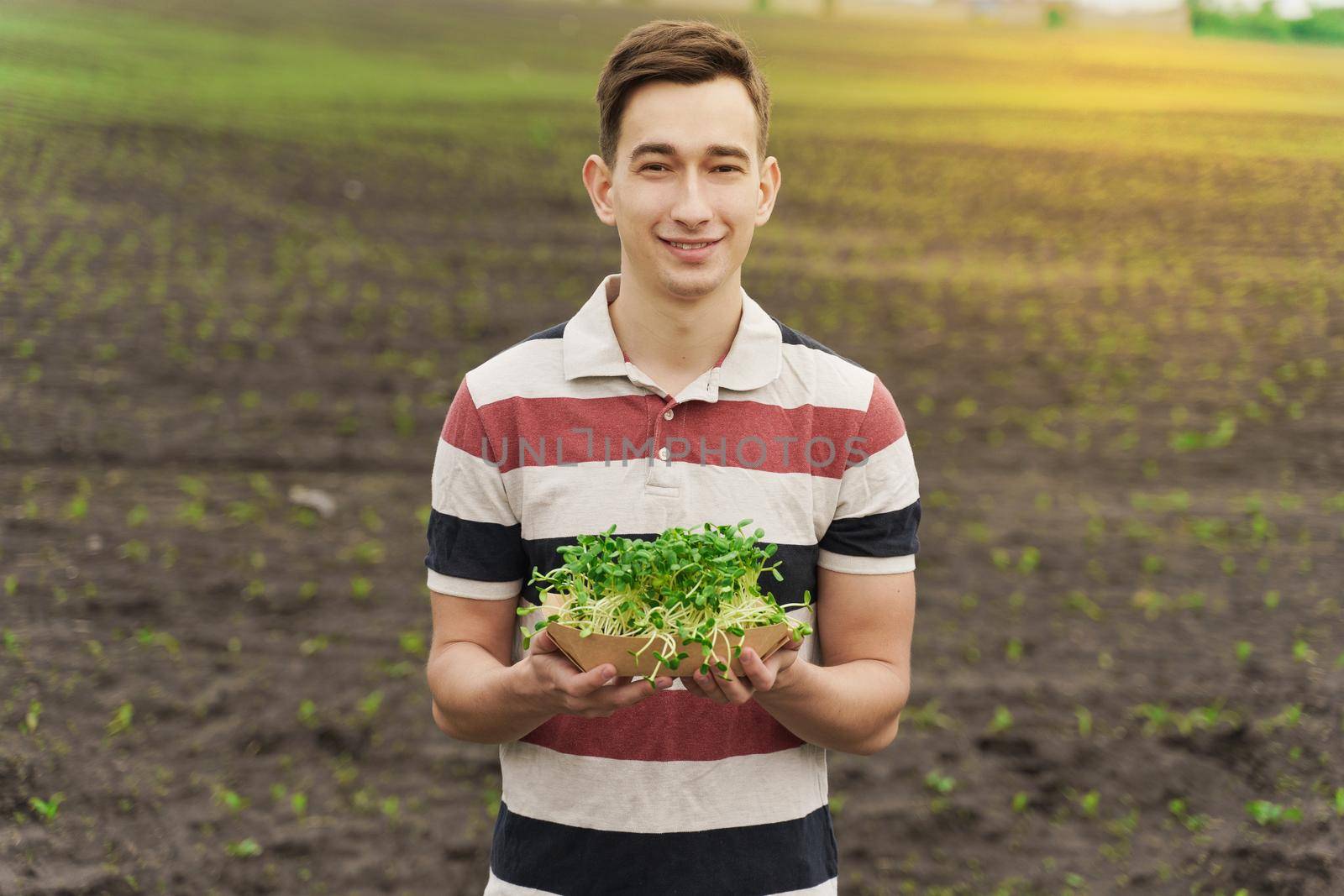 Microgreen of sunflower seeds with soil in eco friendly disposable carton plate. Man holds microgreen in hands. Idea for healthy vegan green food advert.