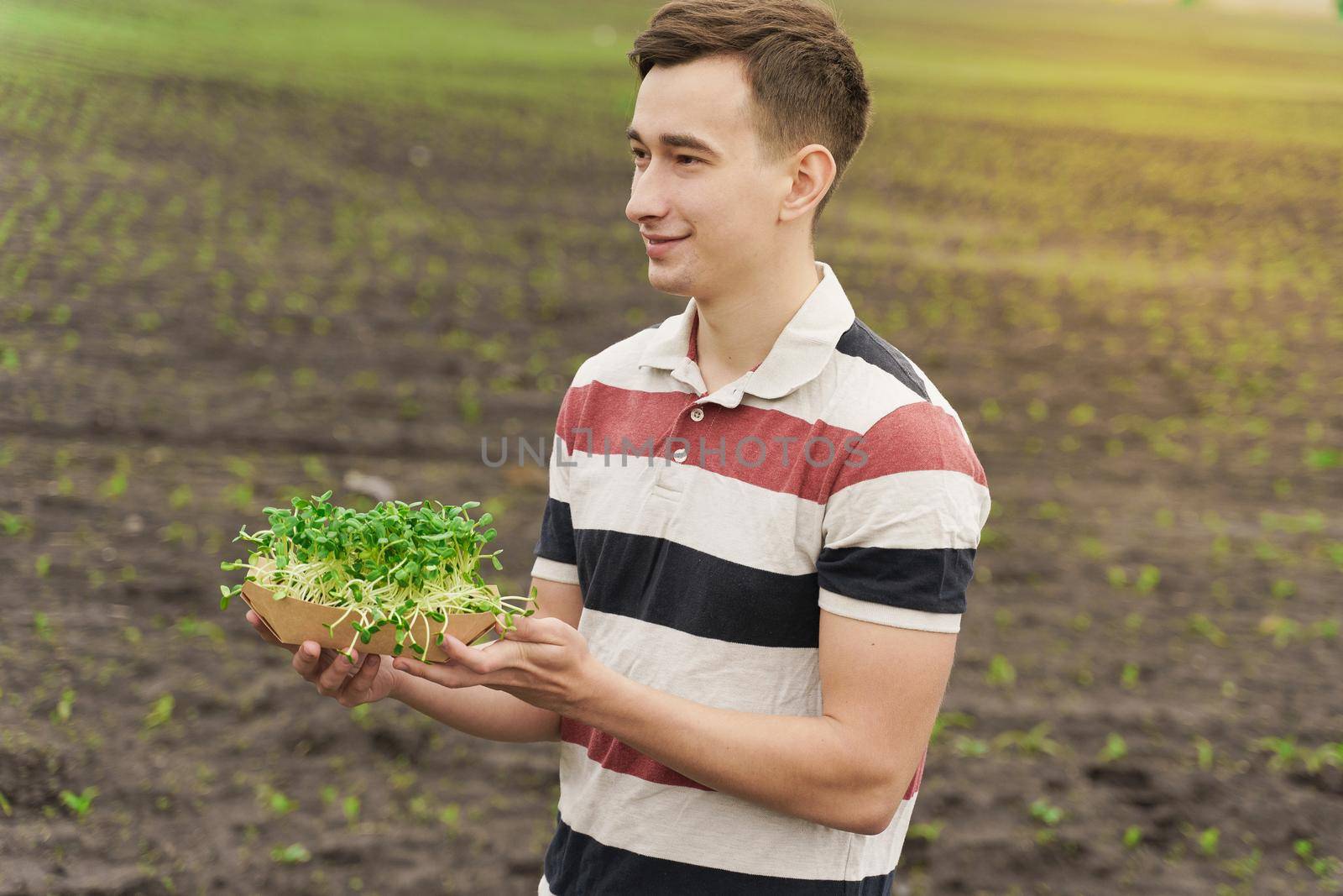 Microgreen of sunflower seeds with soil in eco friendly disposable carton plate. Man holds microgreen in hands. Idea for healthy vegan green food advert.