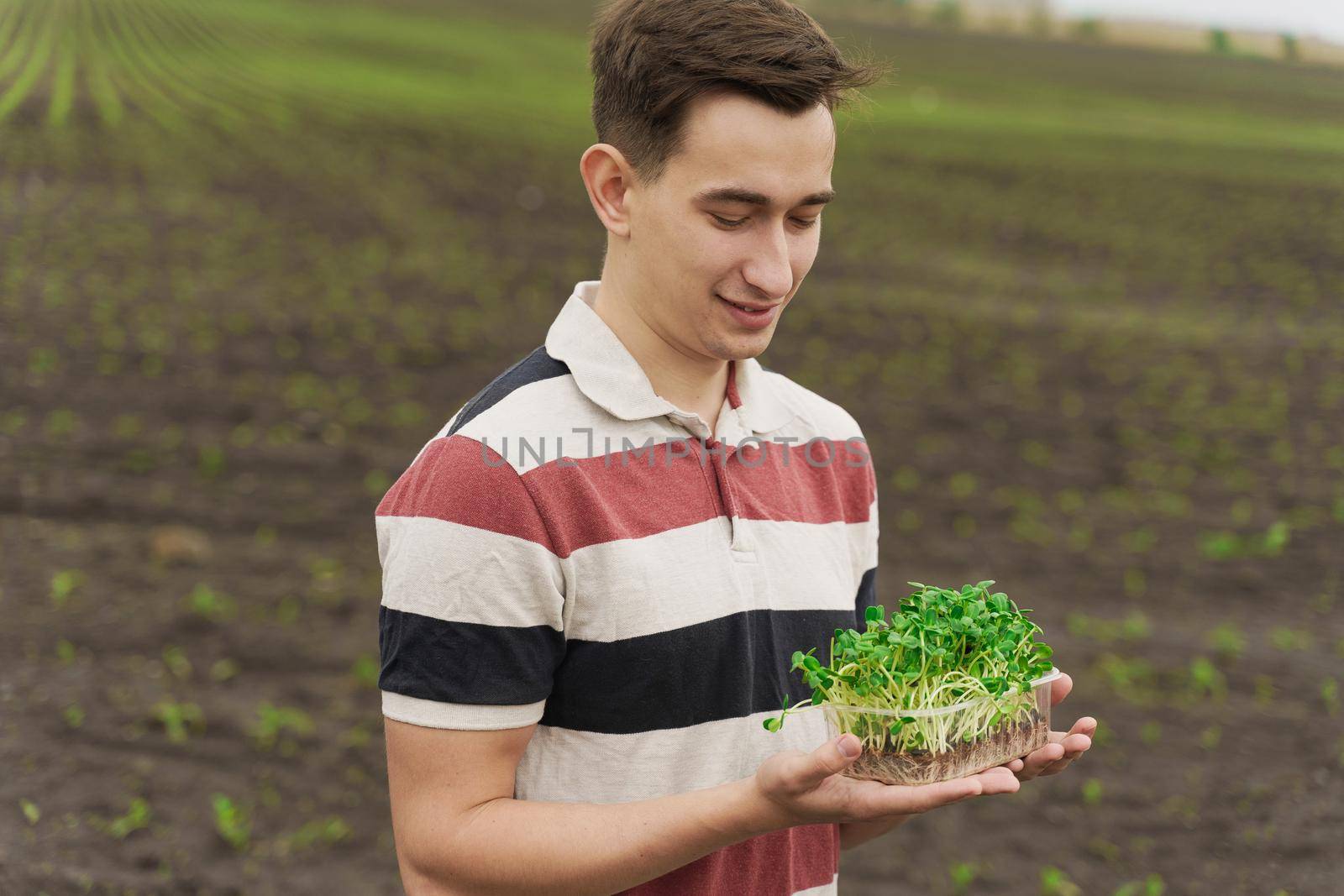 Vegeterian microgreen with soil in hands. Man holds green microgreen of sunflower seeds in hands and looks in it. Healthy vegan food delivery