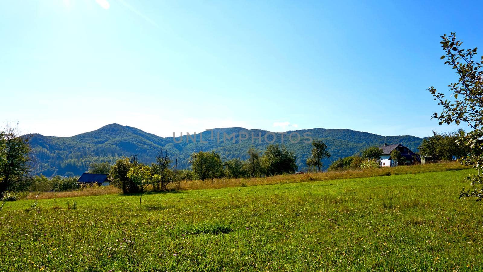 Mountain rural landscape with pasture and fruit trees in a haze of clouds by jovani68