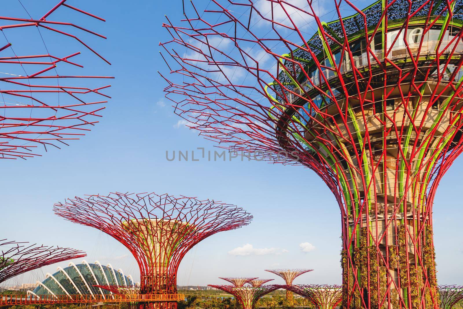 SINGAPORE, SINGAPORE - January 17, 2013. Decorative towers in shape of tree with telpherage. Different flower beds with plants. Supertree Grove at Gardens by the Bay near Marina Bay Sands hotel.