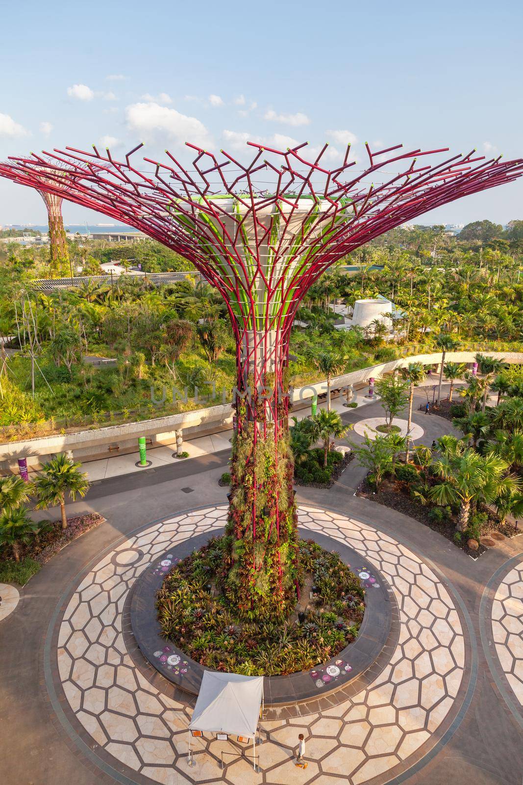 SINGAPORE, SINGAPORE - January 17, 2013. Decorative tower in shape of trees with foliage. Different flower beds with plants. Supertree Grove at Gardens by the Bay near Marina Bay Sands hotel.