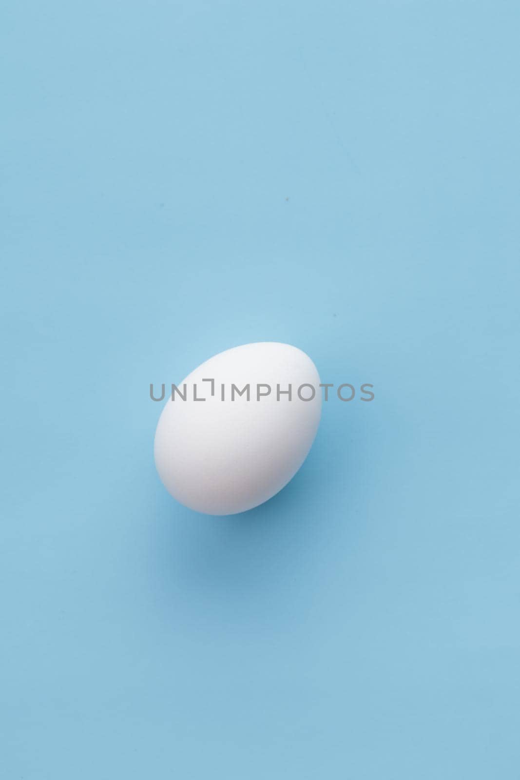 White egg on a blue background vertical