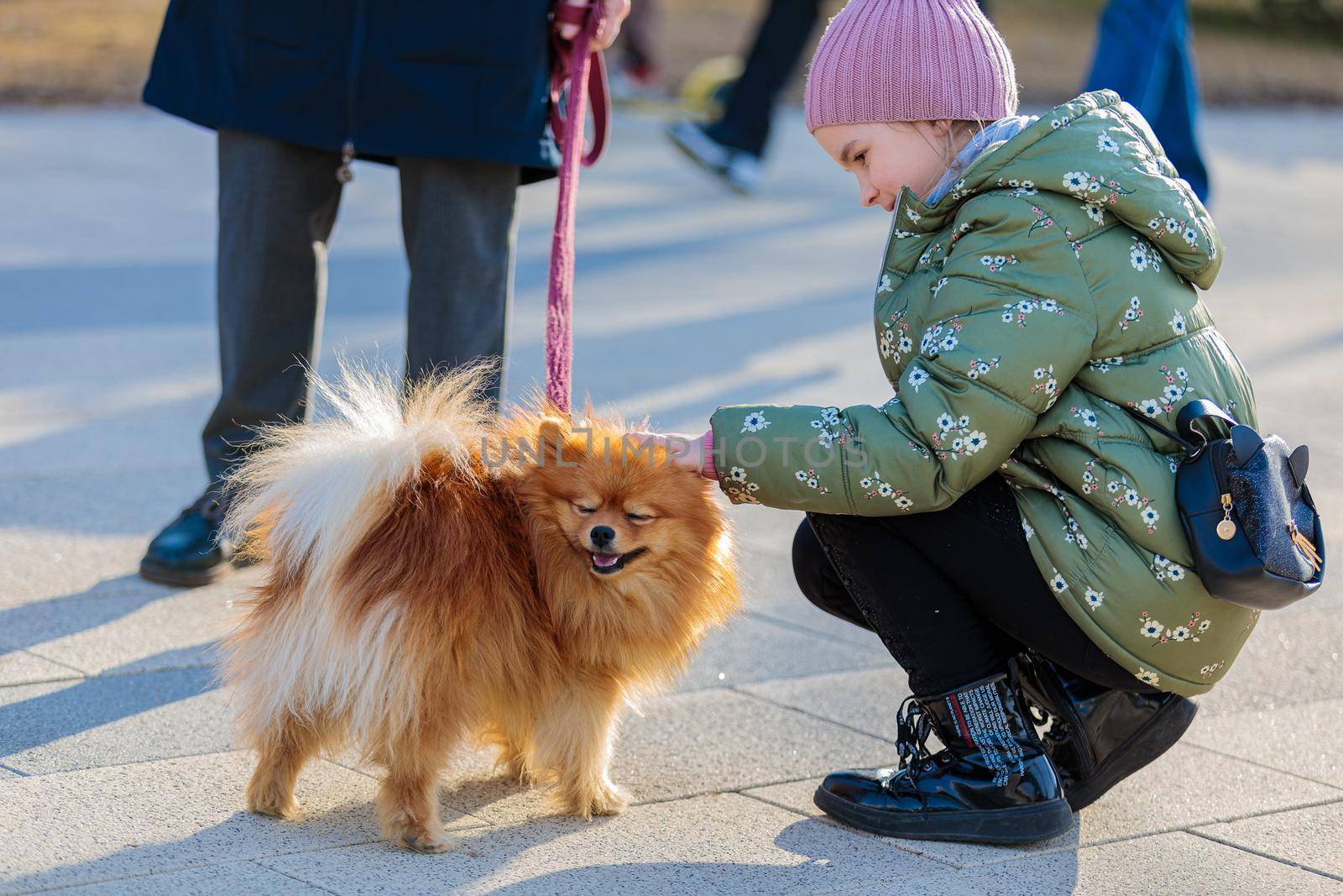 The girl strokes the little dog on a leash in the park. Caresses the dog and rejoices. Russia Zelenograd April 23, 2022.