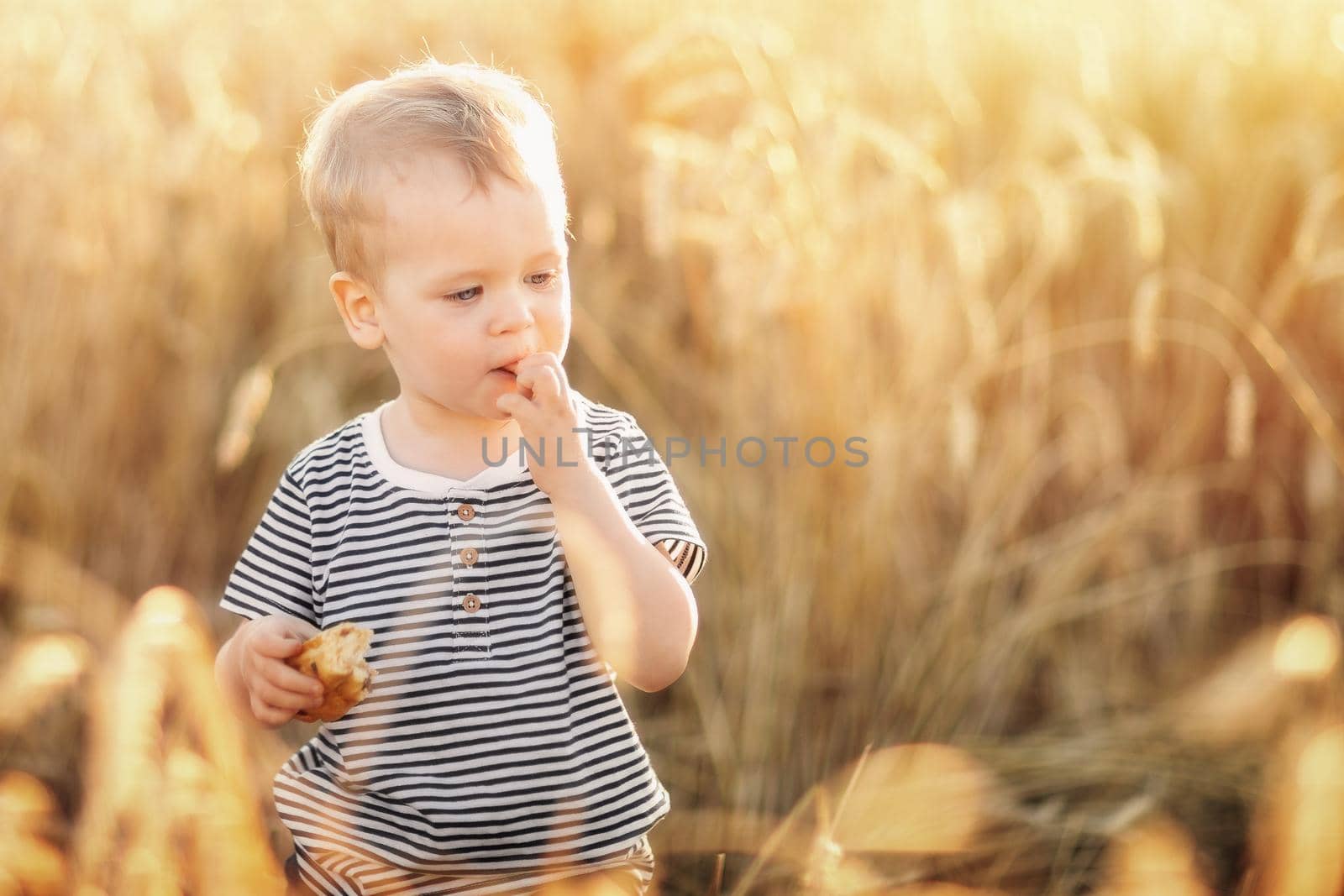 Portrait of little boy eating bread while sitting at wheat fields among golden spikes in summer day. Country life, calmness and summer relaxation, peace, environmental care and agriculture concept