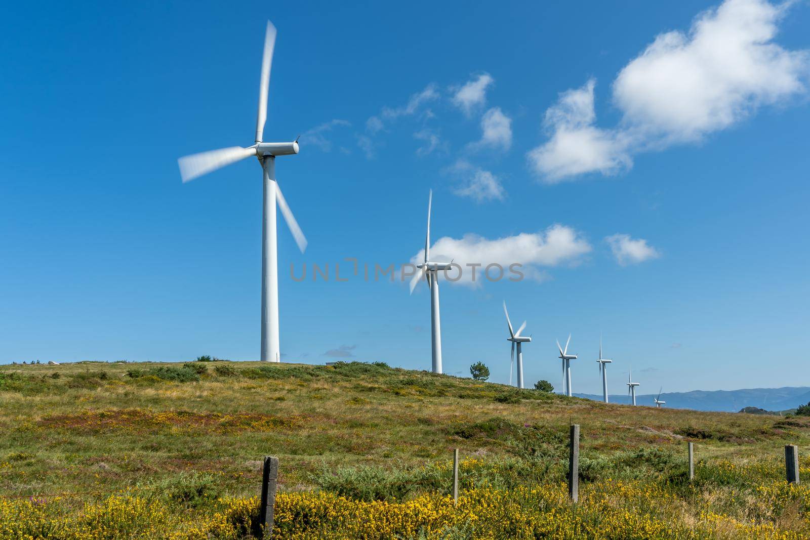 View of wind turbines energy production near the Atlantic Ocean in Galicia, Spain.