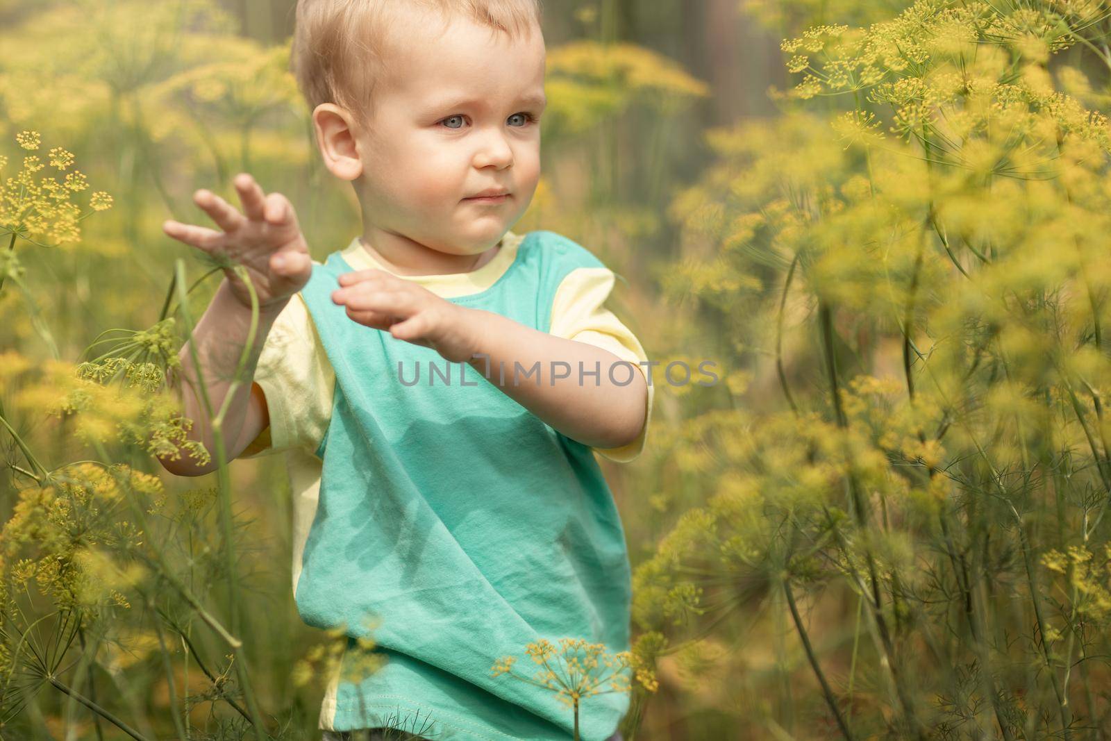 Grandson in grandma's garden during summer vacation, learns to explore nature.
