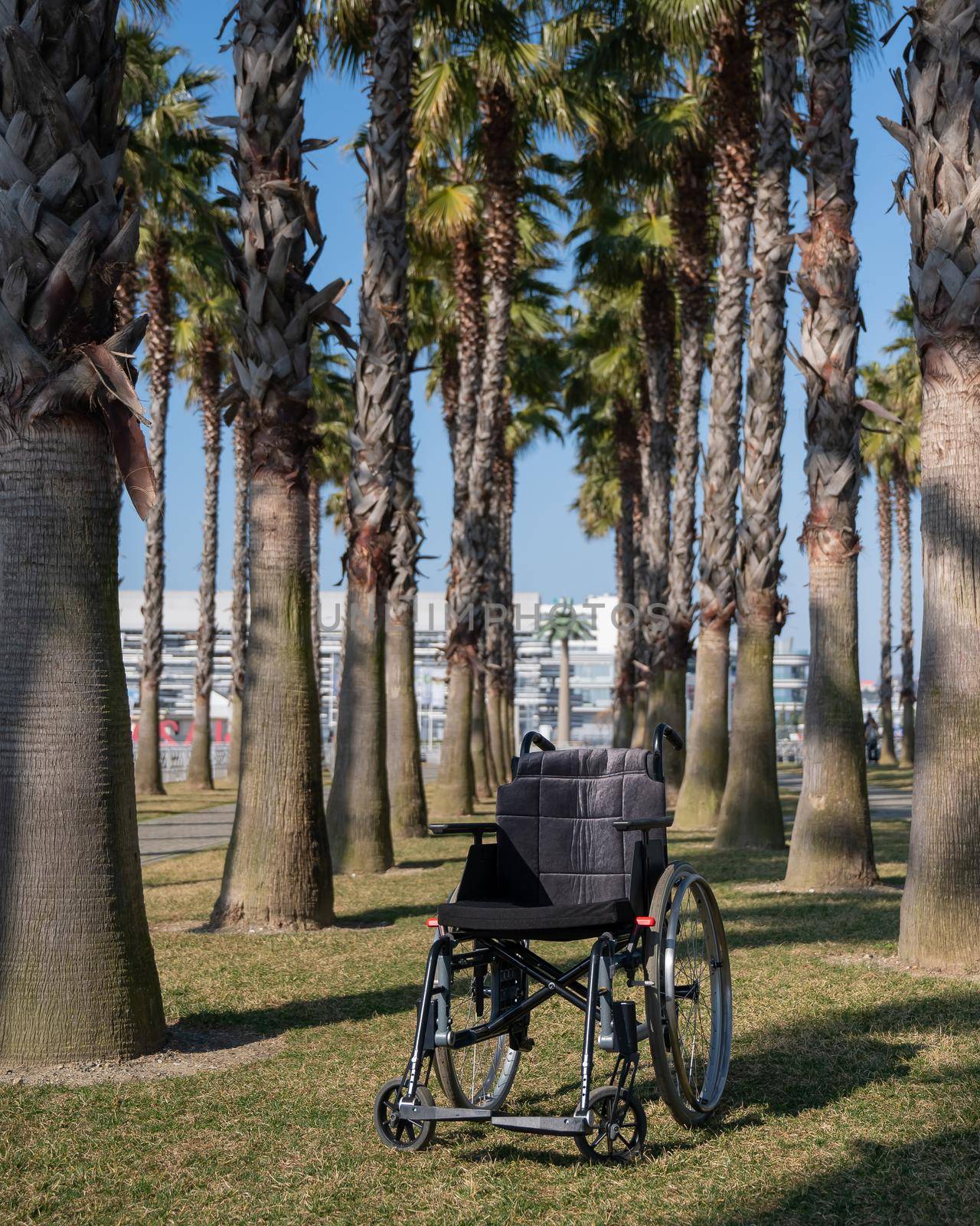 Empty wheelchair under palm trees on a sunny summer day