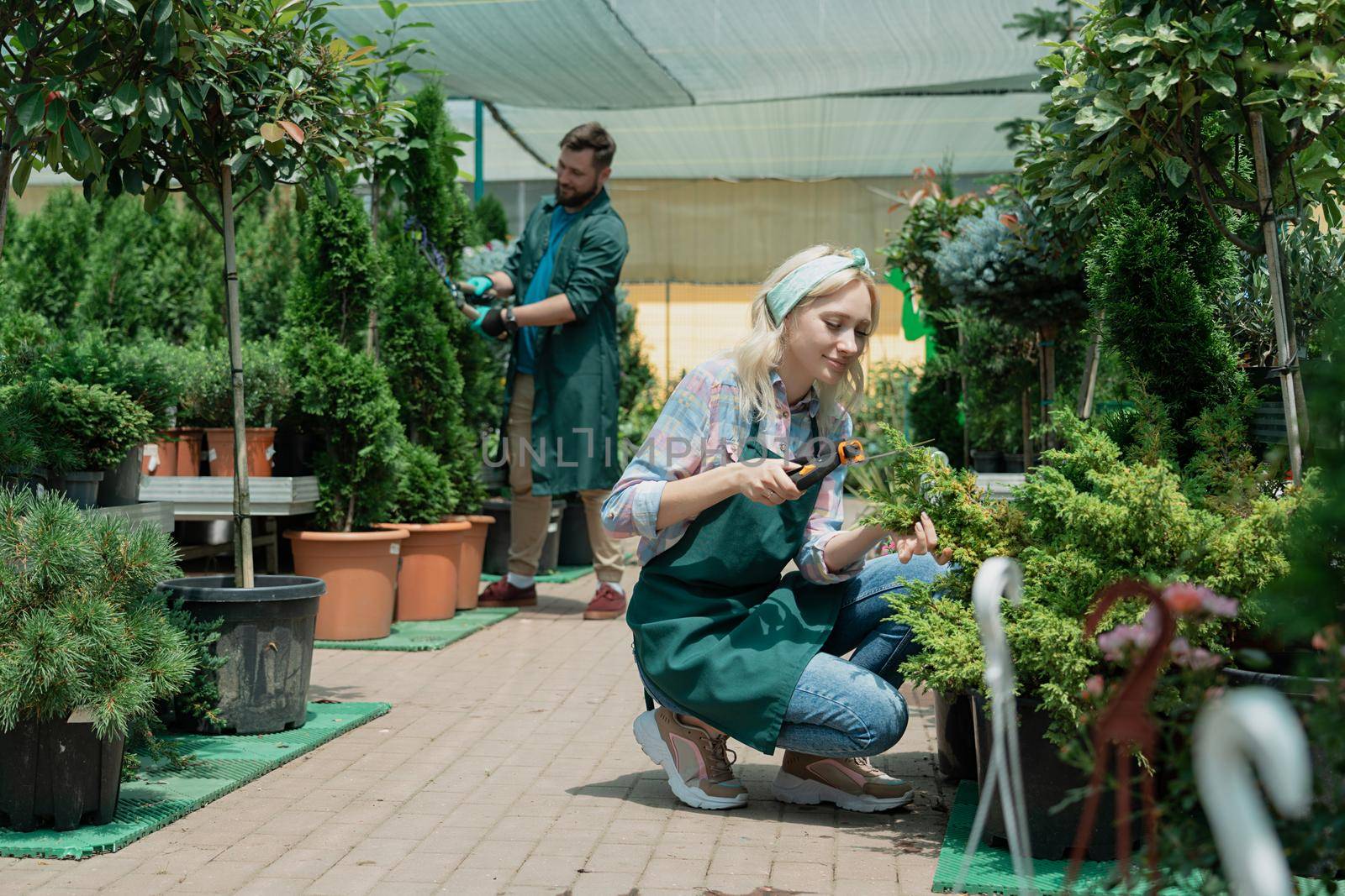 Gardeners work in modern nursery plant store in greenhouse by Mariakray
