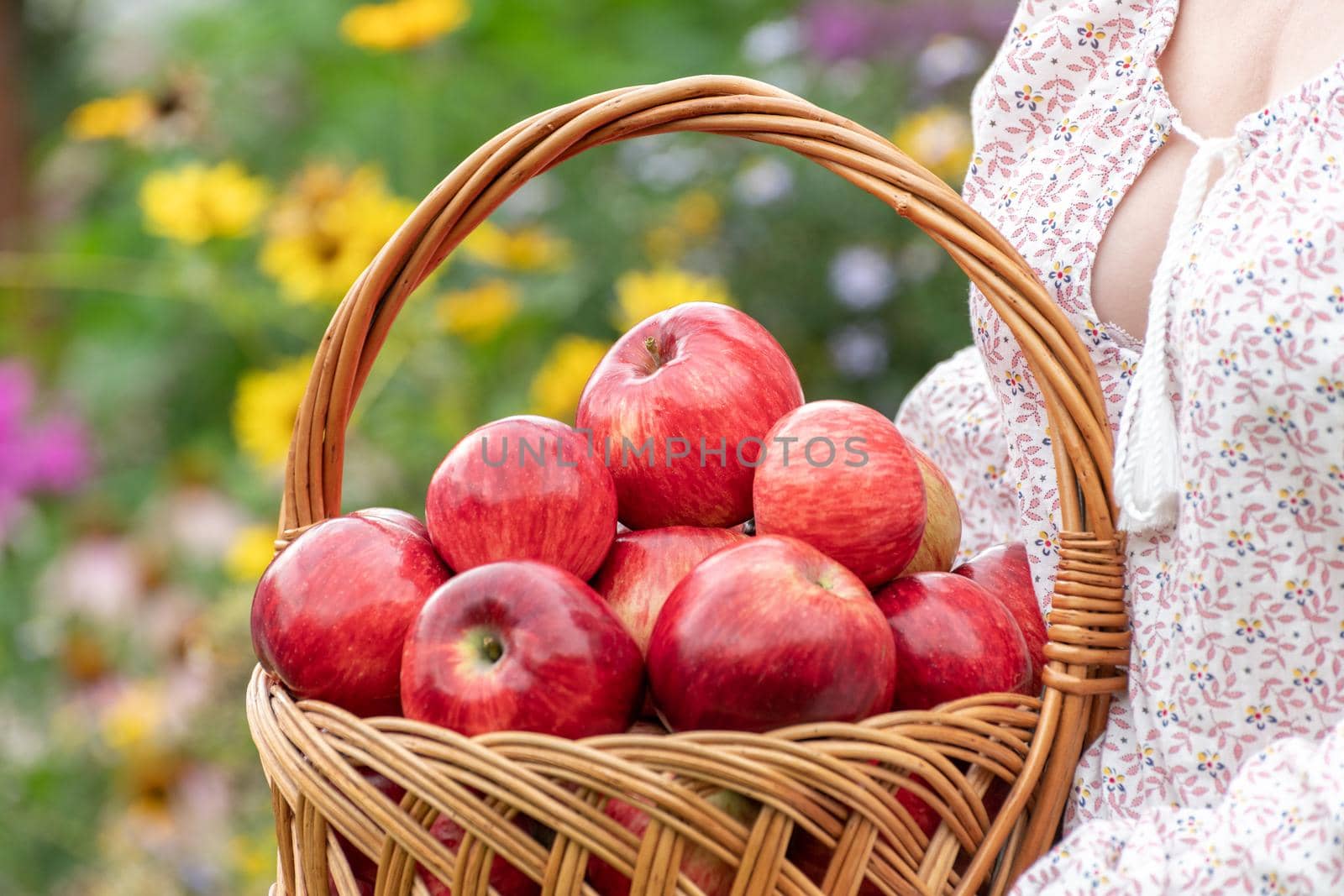Woman holding a wicker basket with a red apples
