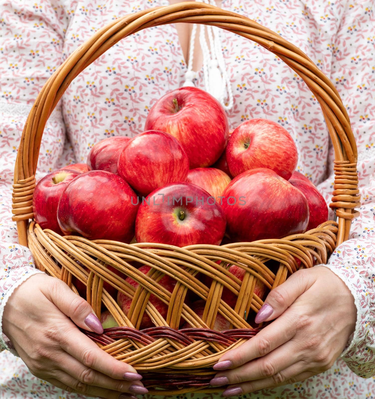 Woman holding a wicker basket with red apples by olgavolodina