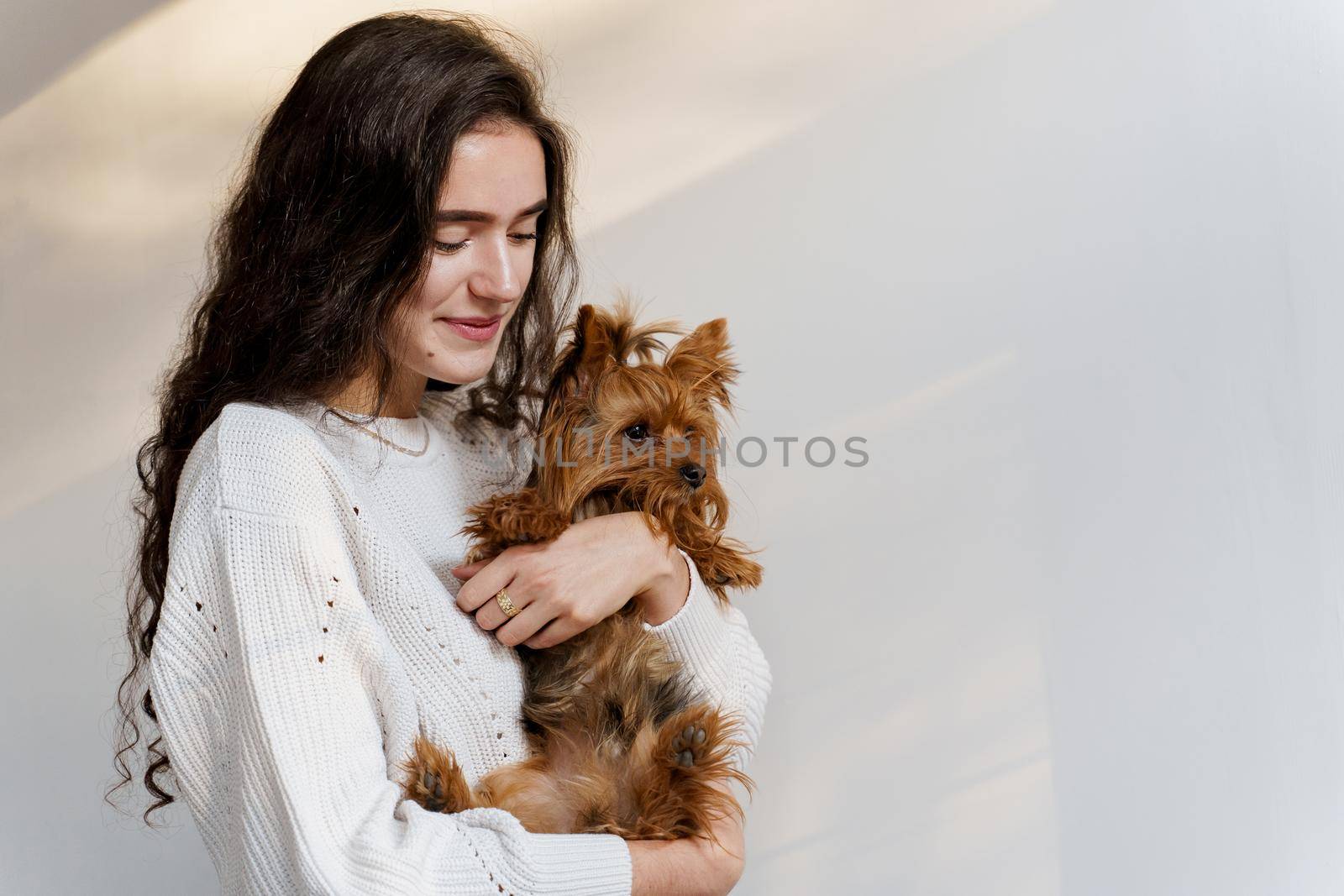 Girl holds brown dog isolated on white background. Young attractive woman with dog yorkshire terrier smiles. Close up photo. Pet care. People and pets.