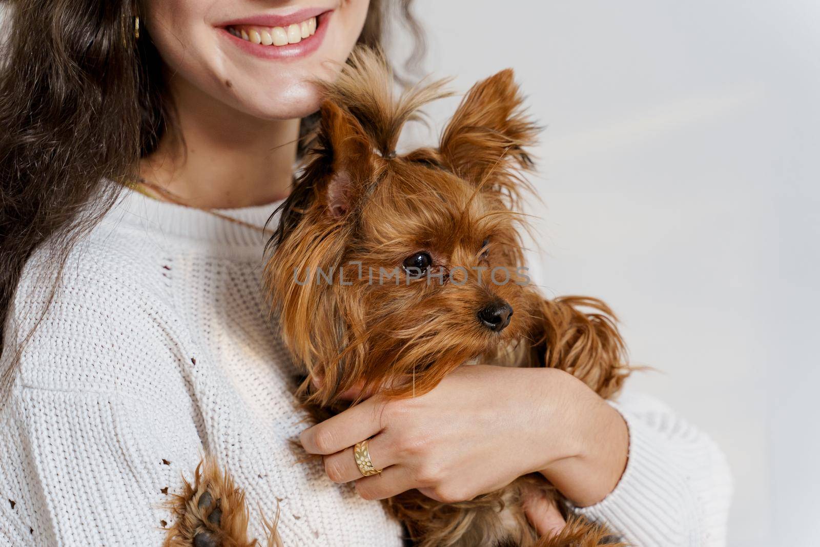 Girl holds brown dog isolated on white background. Young attractive woman with dog yorkshire terrier smiles. Close up photo. Pet care. People and pets.