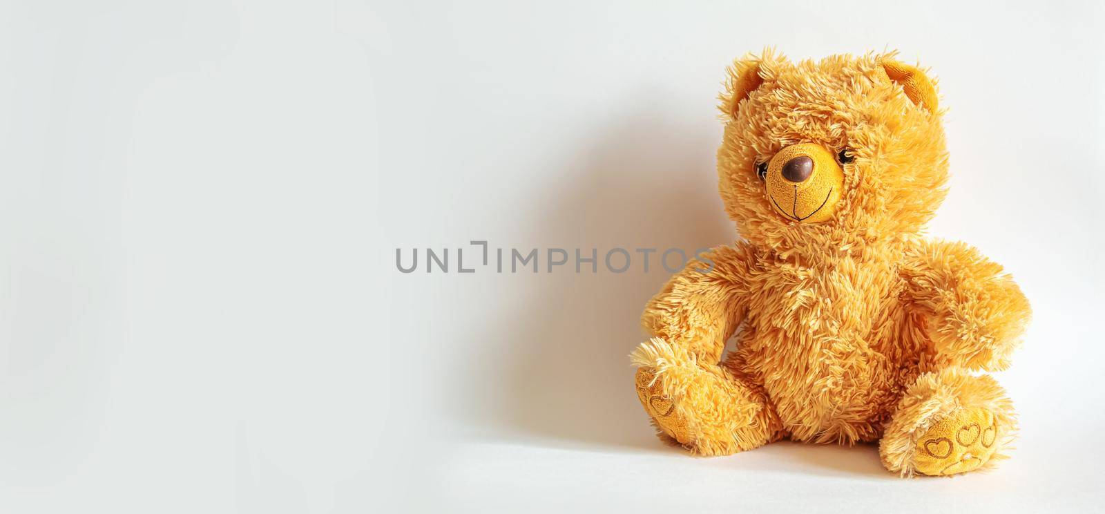 Classic teddy bear isolated on white background selective focus.toy