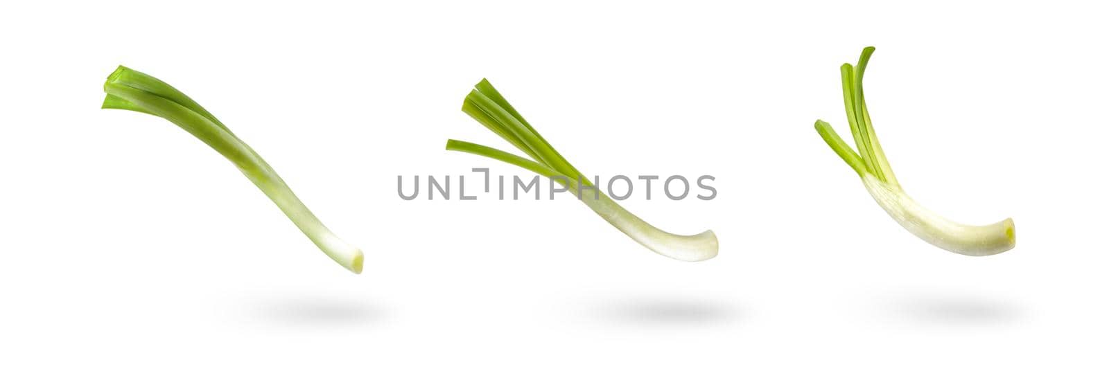 Set sliced green onion on a white background. Green onion slices fall or fly, casting a shadow.