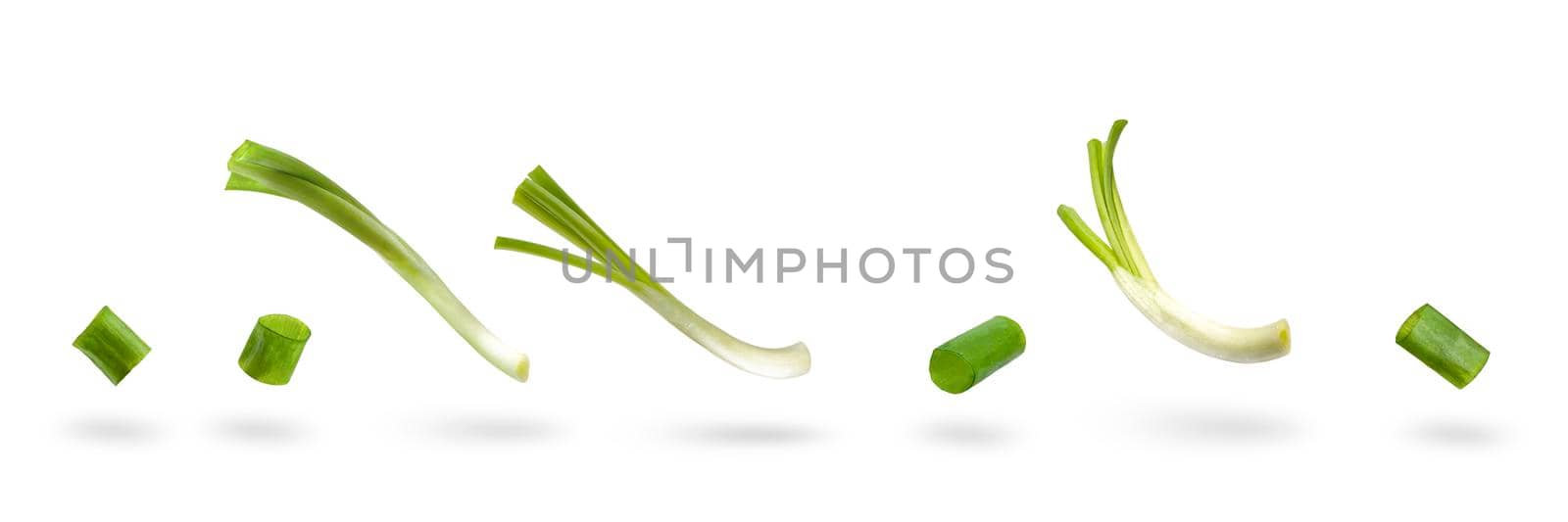 Set sliced green onion on a white background. Green onion slices fall or fly, casting a shadow.