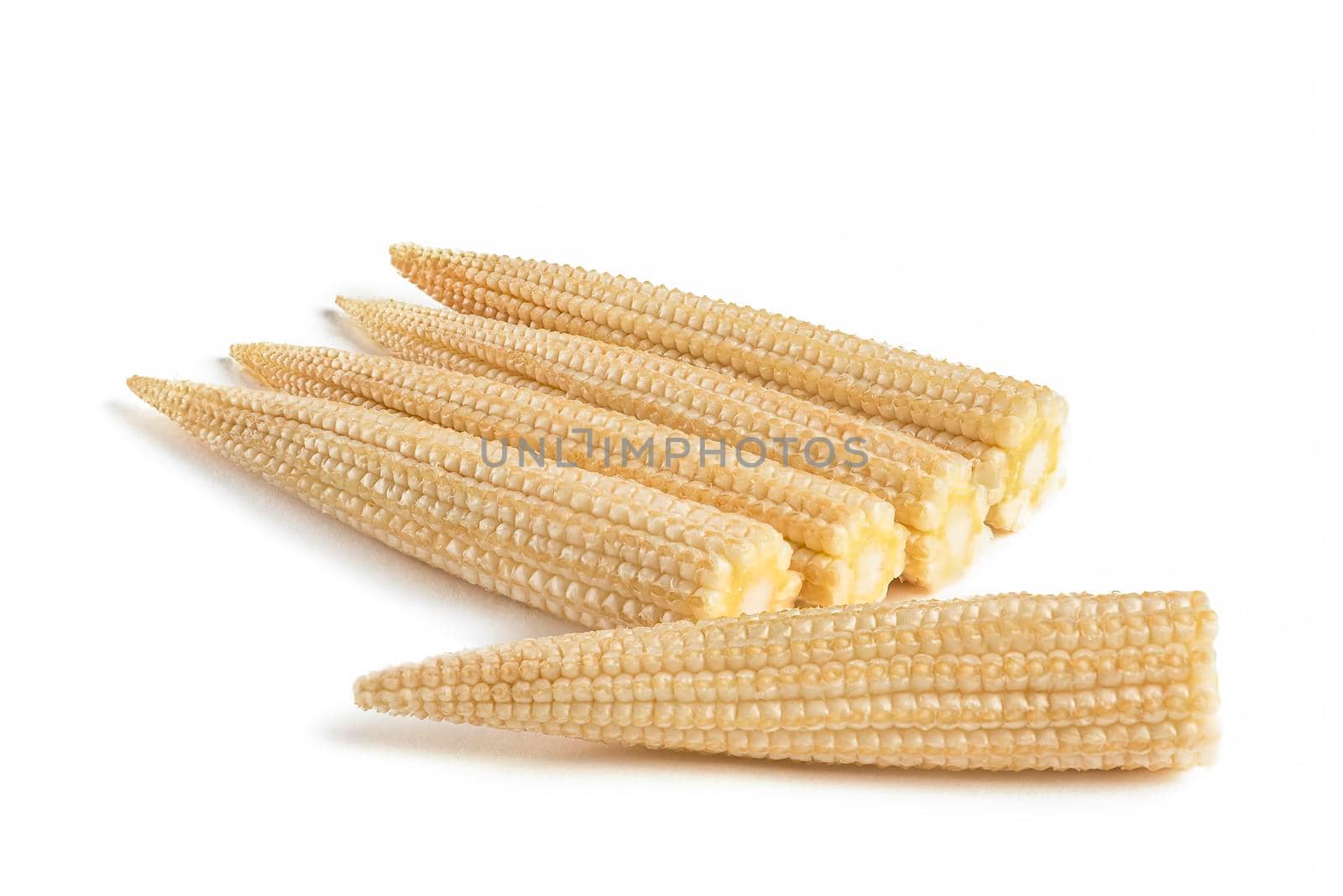 Corn on a white background. Baby corn isolated on white homogeneous background, clipping path, full depth of field