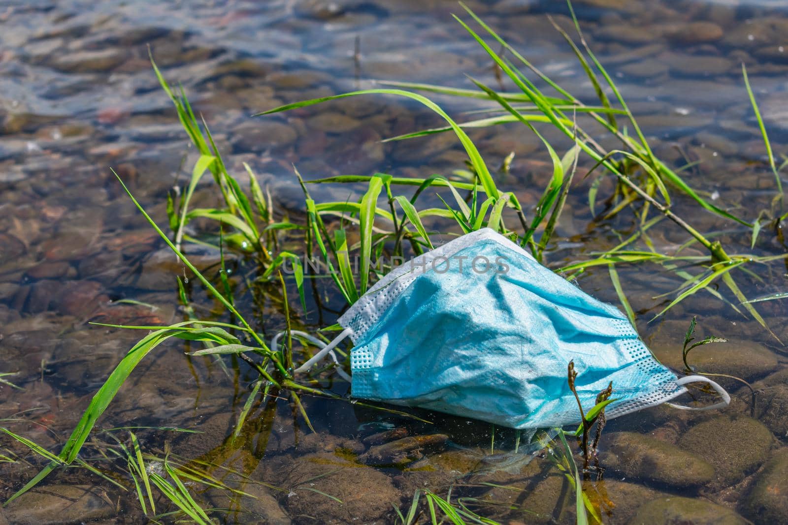 Consequences of the coronavirus pandemic, abandoned medical masks are everywhere. Medical mask thrown into the river and stuck in the grass on the shore