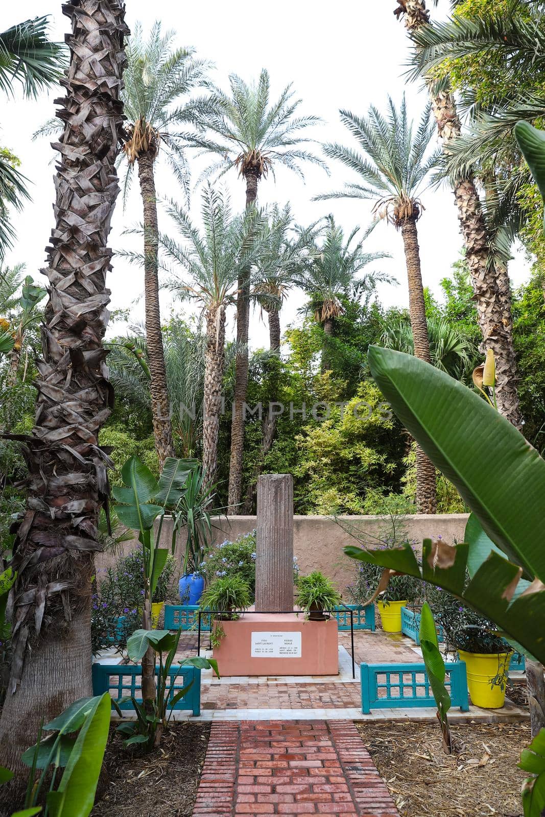 Botanical Majorelle Garden in Marrakech City, Morocco