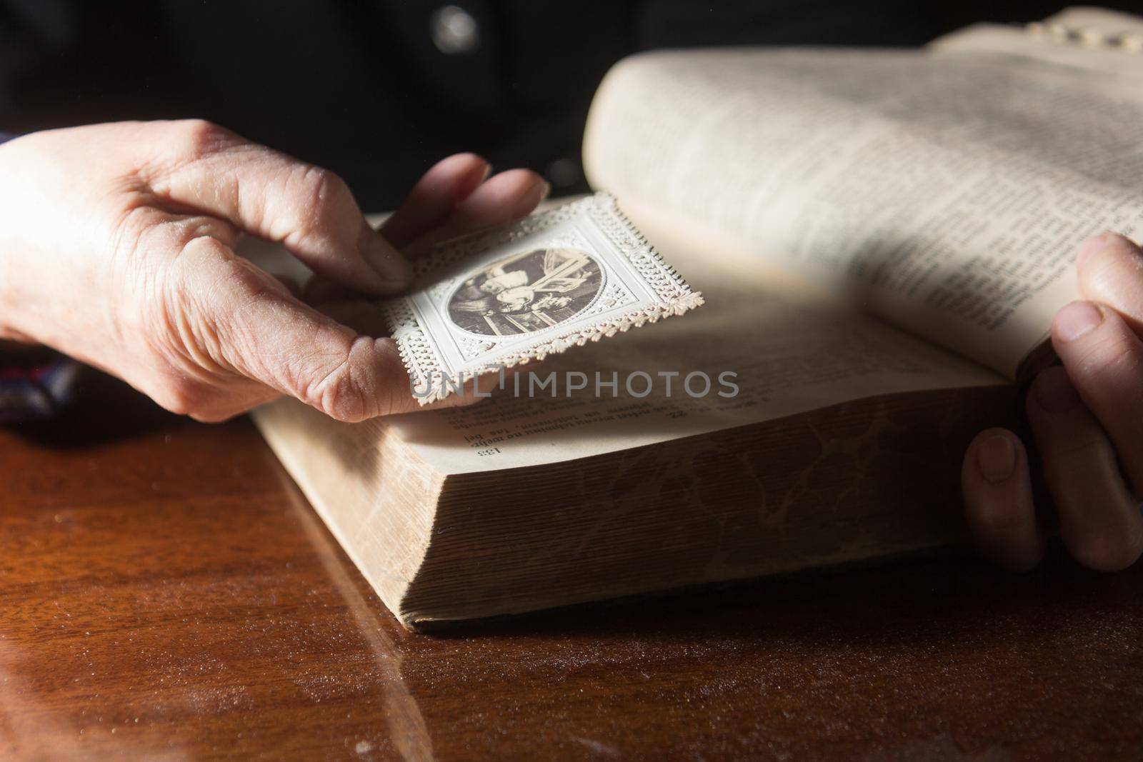 An old woman is looking at an old photo she found in an old Bible.