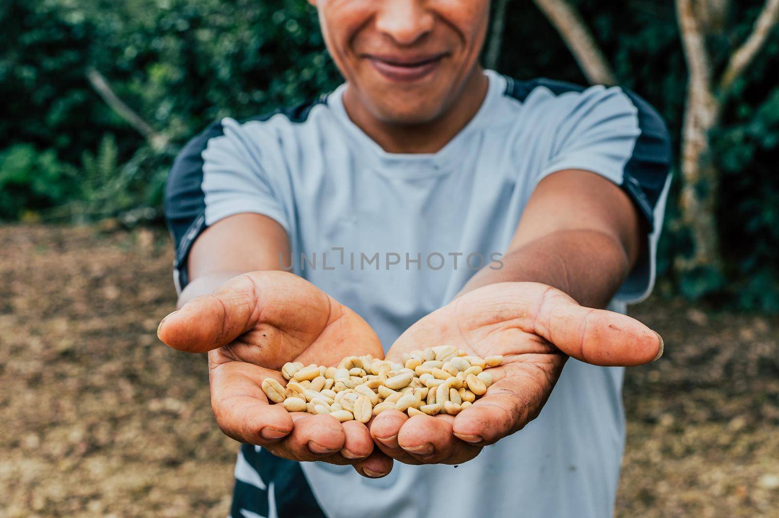 Coffee Farmer Showing Coffee Beans. by Peruphotoart