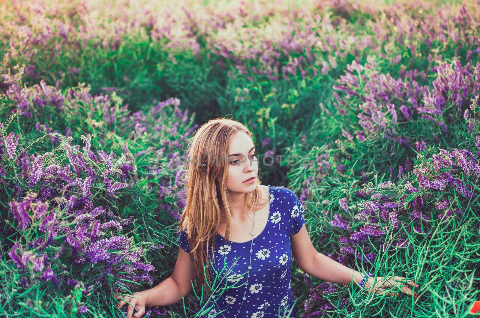 light-skinned European blonde young slim girl walks on tall grass overgrown with purple flowers. Women's blue short skin-tight dress with white daisy print.