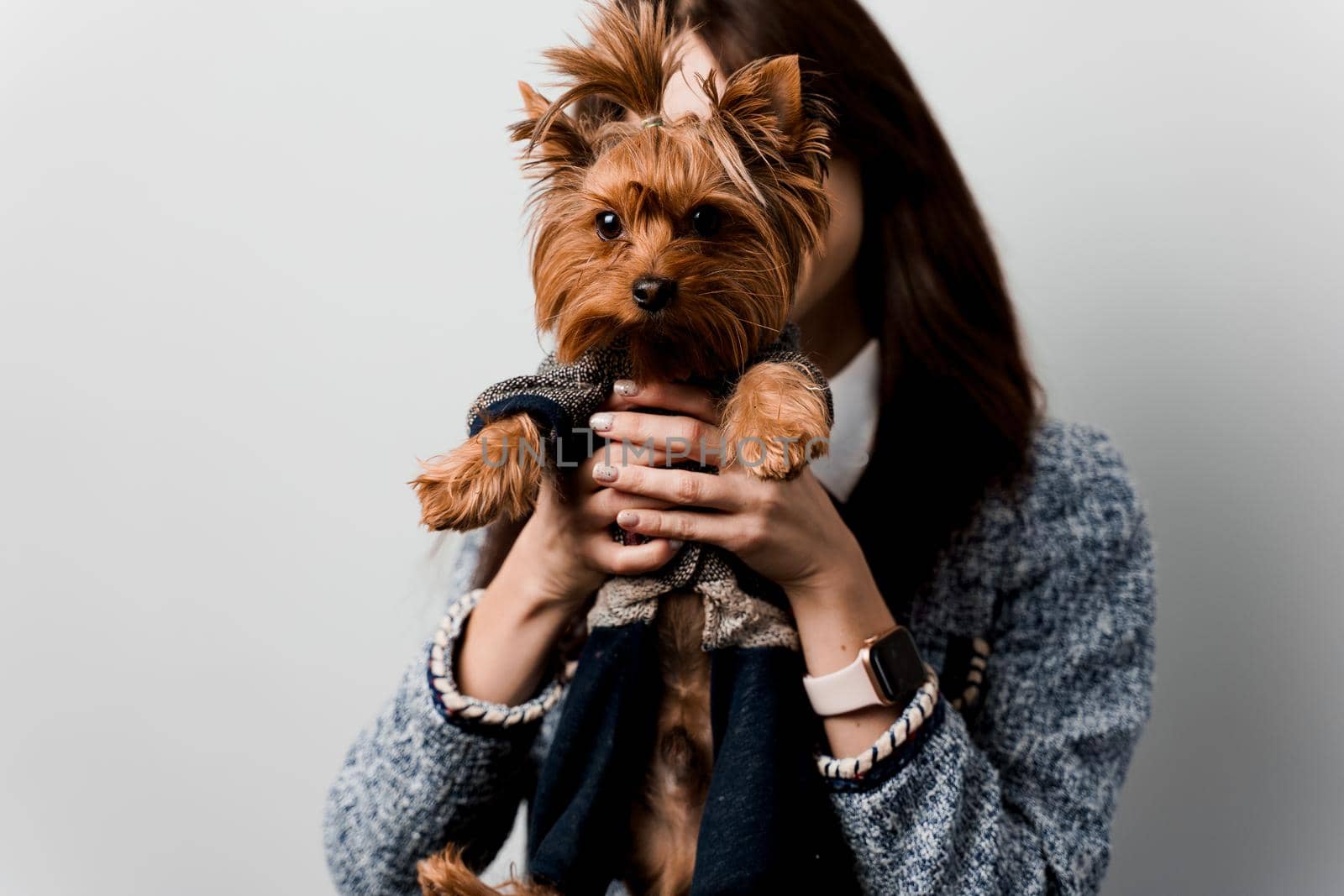 Young attractive woman with dog yorkshire terrier smiles. Close up photo. Pet care. People and pets. Girl holds brown dog isolated on white background. by Rabizo