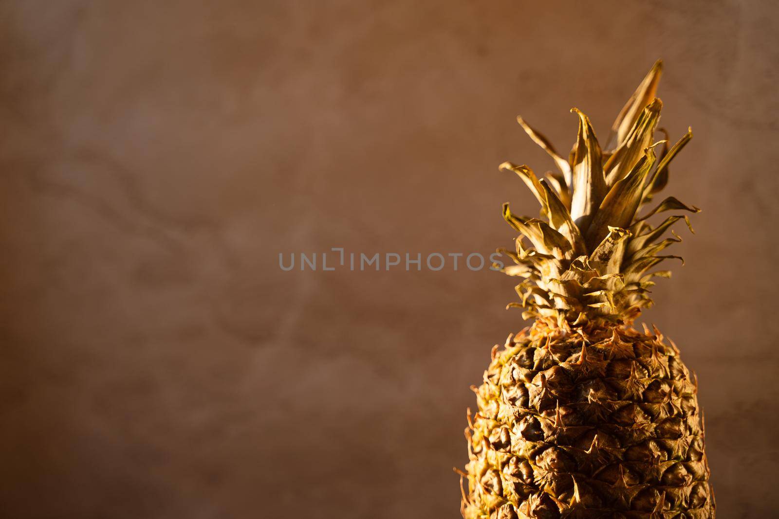 Pineapple tropical fruit on gray background. Citrus fruit with vitamin c for helth care