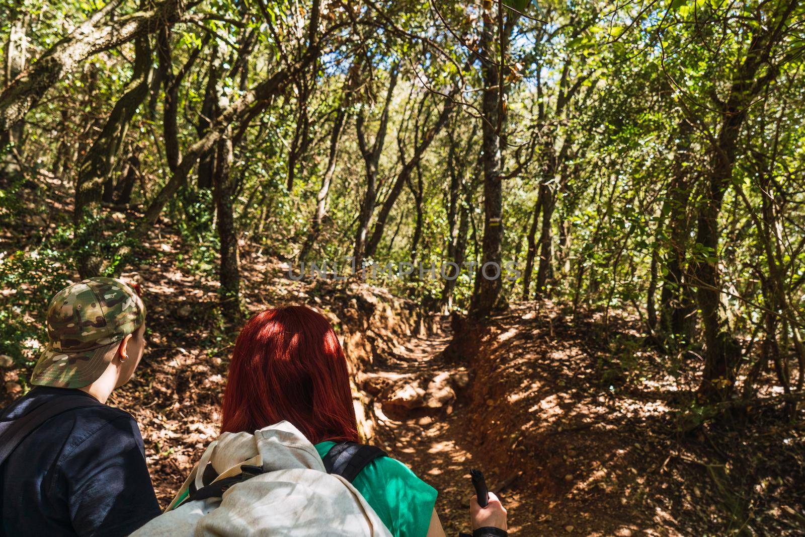 two friends enjoying the beautiful views of a natural setting. young people on holiday. women on a mountain trail. hiking sticks and mountaineer's backpack. warm, natural light. lush vegetation. hiking sticks.