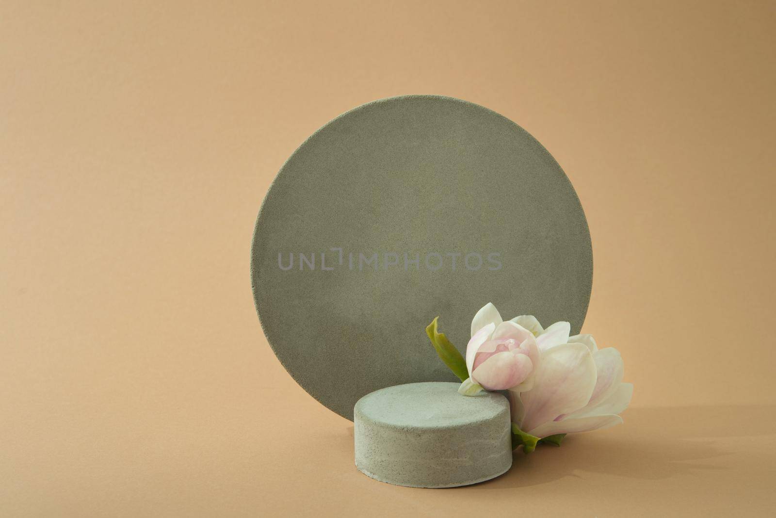 minimalist mockup with concrete shapes and magnolia blooming by maramorosz