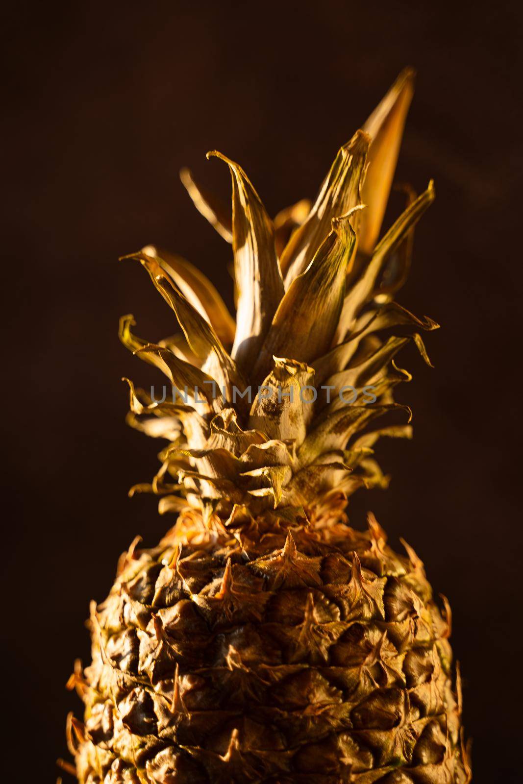 Pineapple tropical fruit on black background. Citrus fruit with vitamin c for helth care. by Rabizo