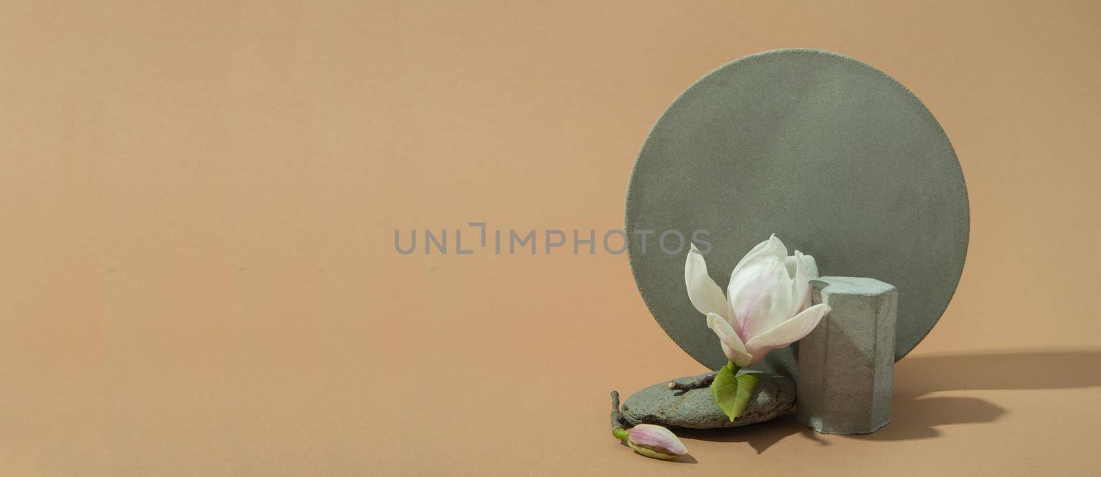 minimalist banner with concrete shapes and blooming flower on pastel background by maramorosz