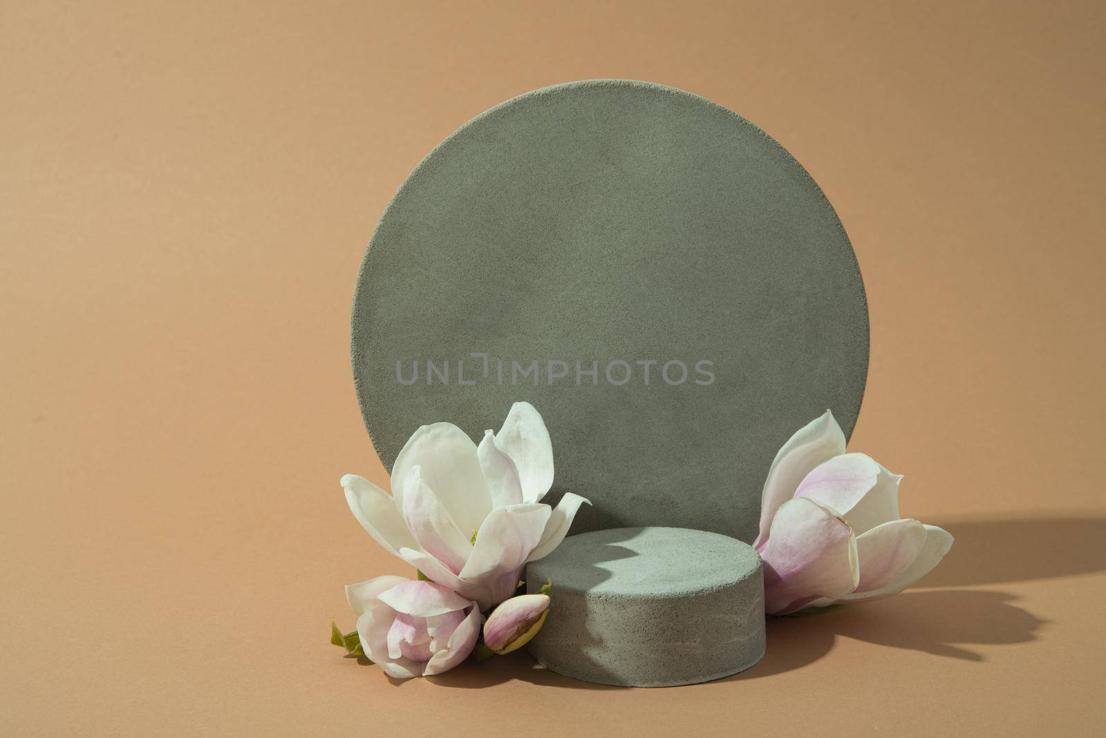 minimalist mockup with concrete shapes and magnolia blooming. High quality photo with copy space