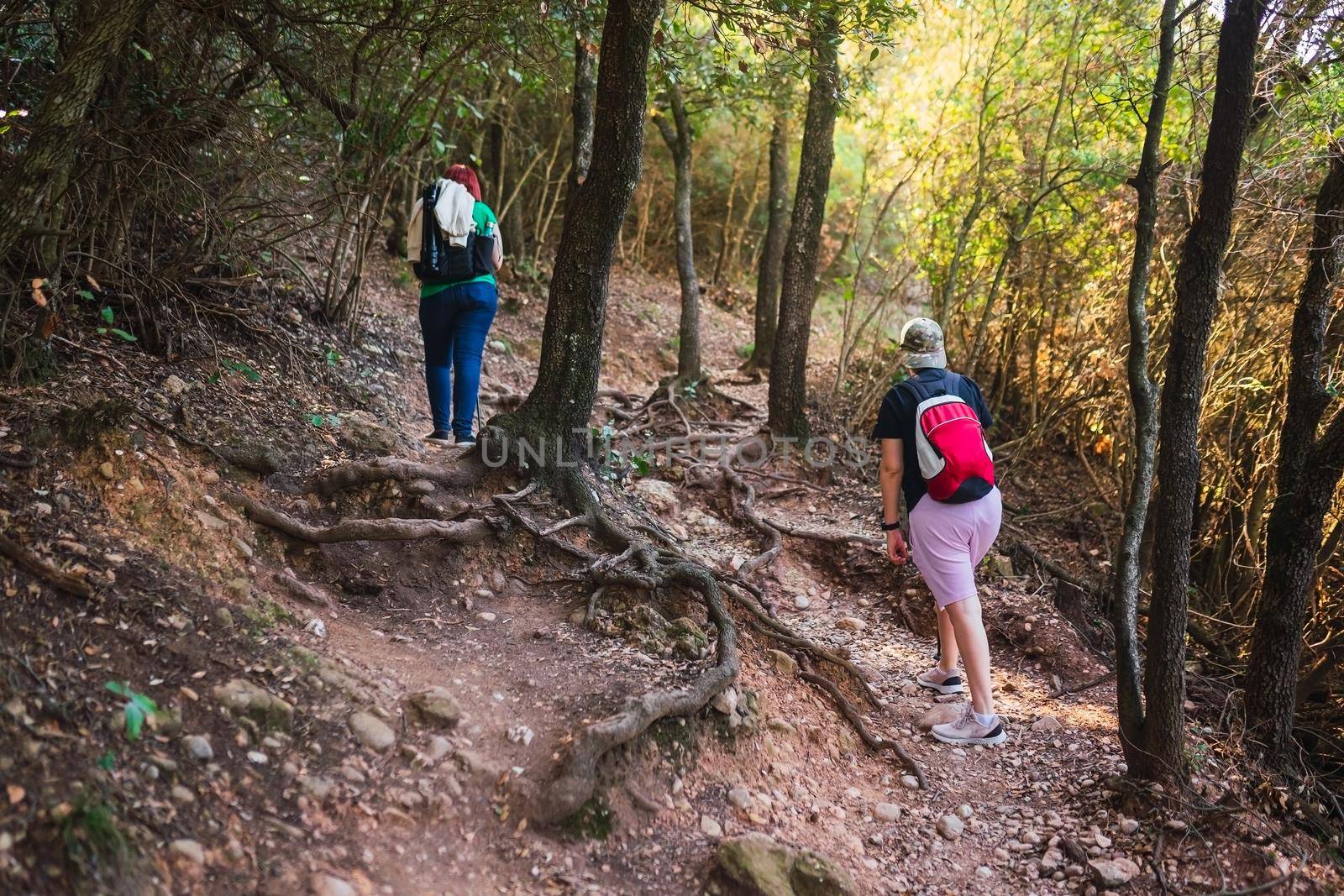 two young women friends hiking on a forest trail. young people on holiday. women walking in nature. hiking sticks and mountaineer's backpack. natural and warm light. lush vegetation. hiking sticks.