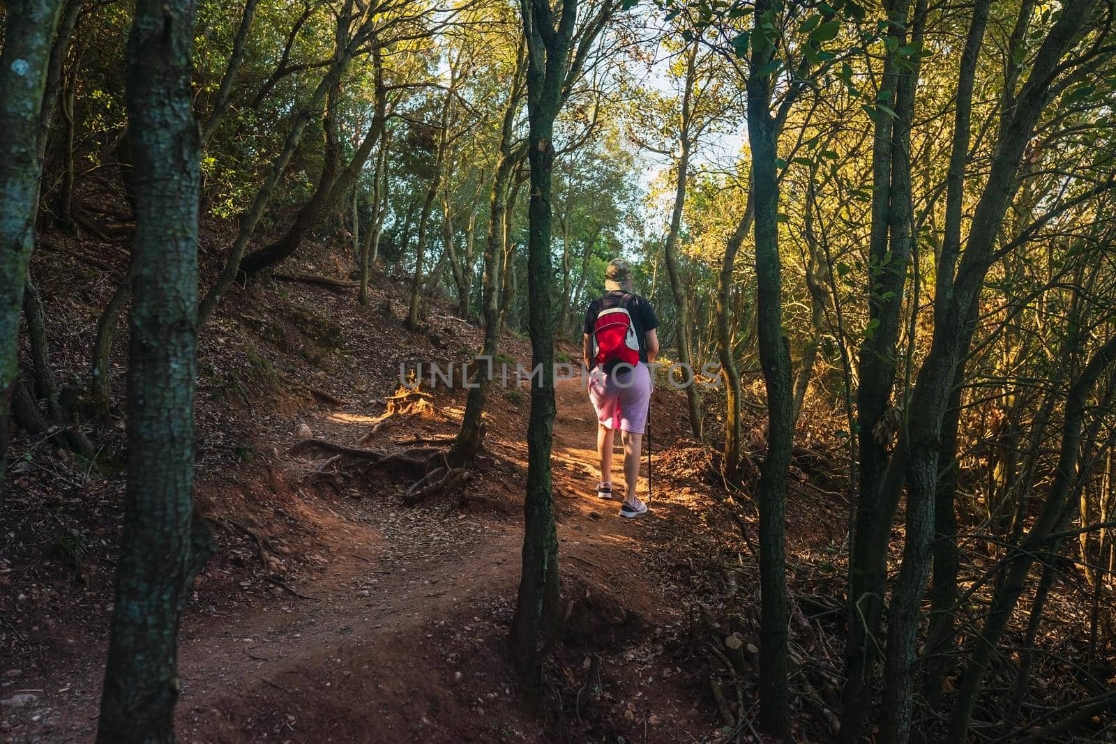 young woman hiking on a forest track. enjoying her holiday. woman walking in nature. by CatPhotography