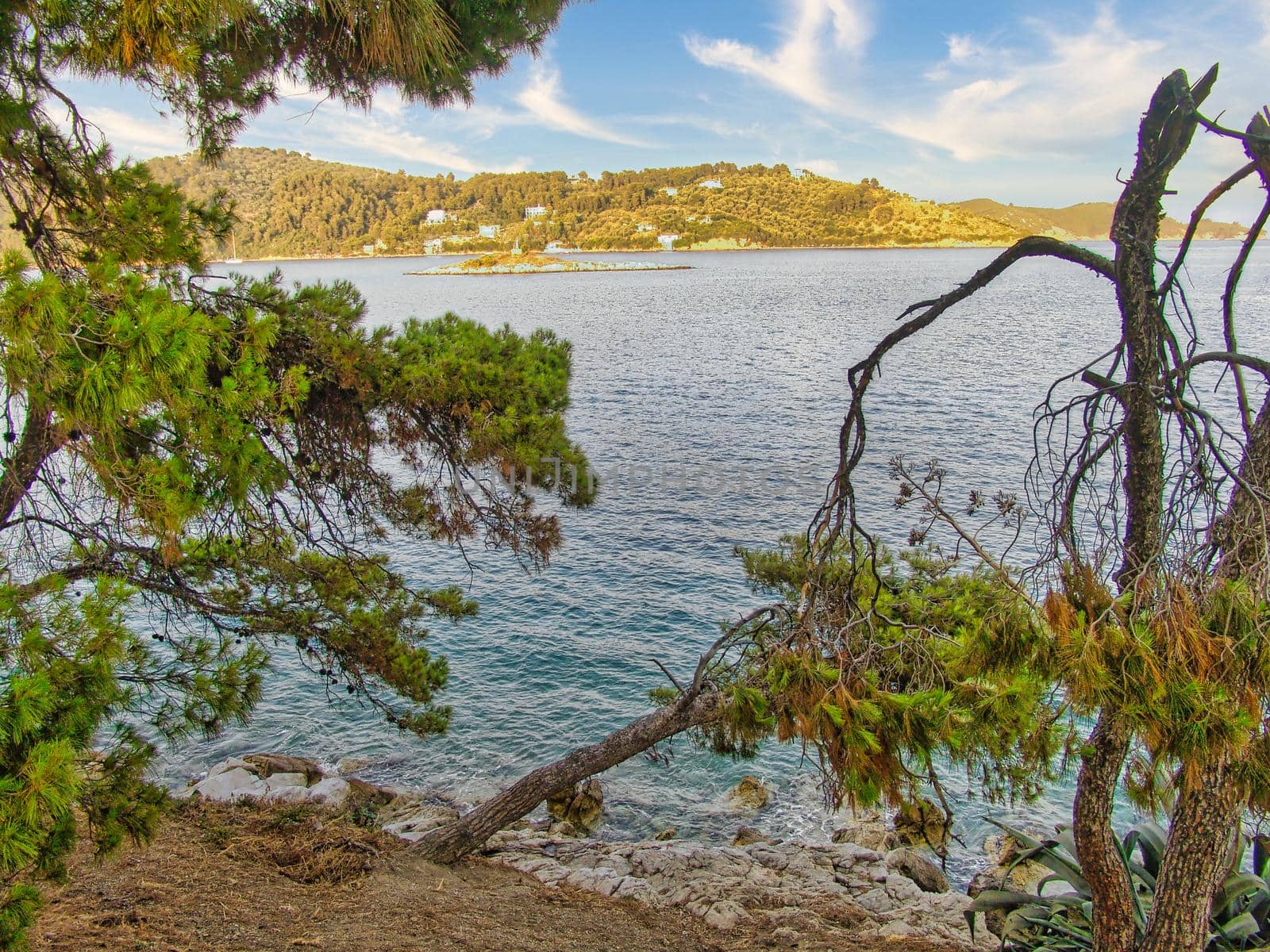 Beautiful island of Skiathos in sporades island, Greece