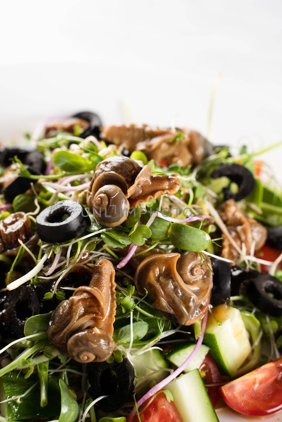 Salad with snail, olive, tomatoe cherie, cucumber and greens,