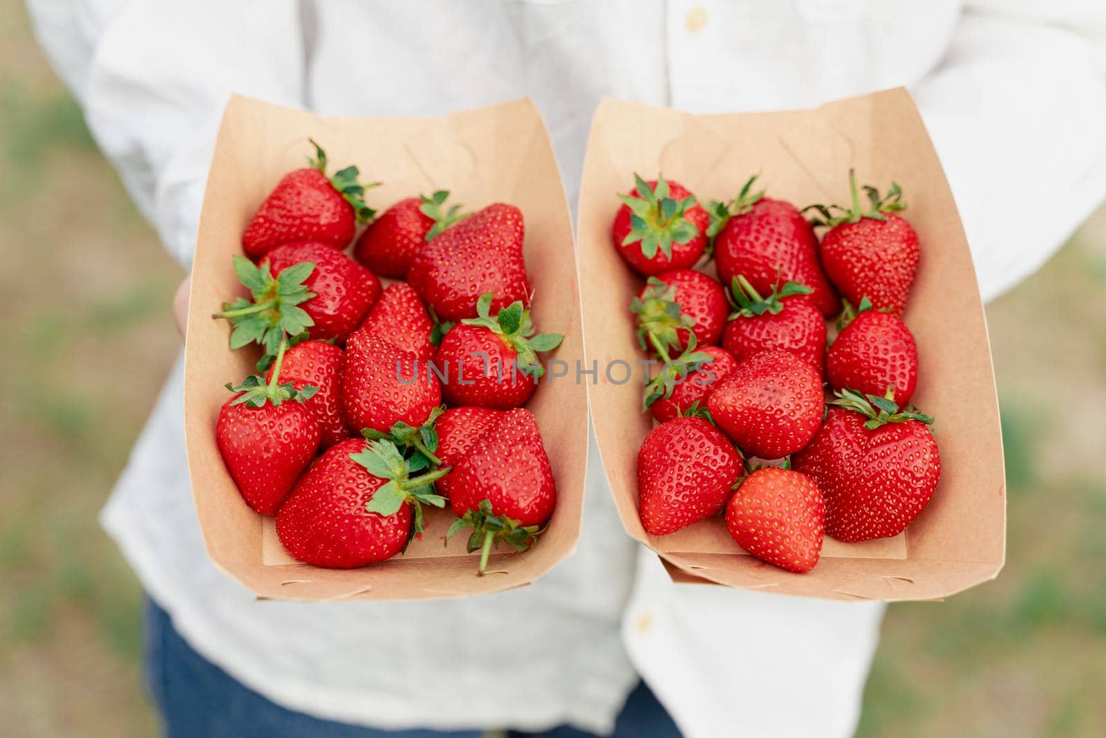 Strawberry in disposable eco plate in woman hands on green background.