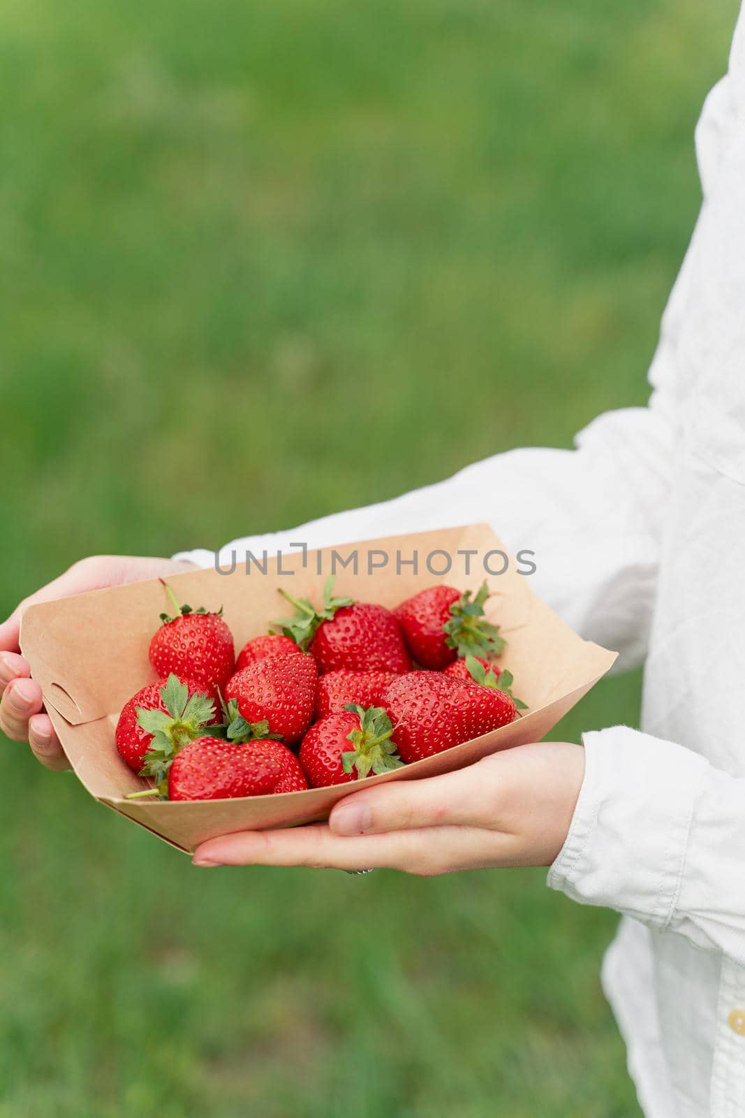 Holding strawberry in hand. Strawberries in disposable eco plate on green background. Seasonal red berry. by Rabizo