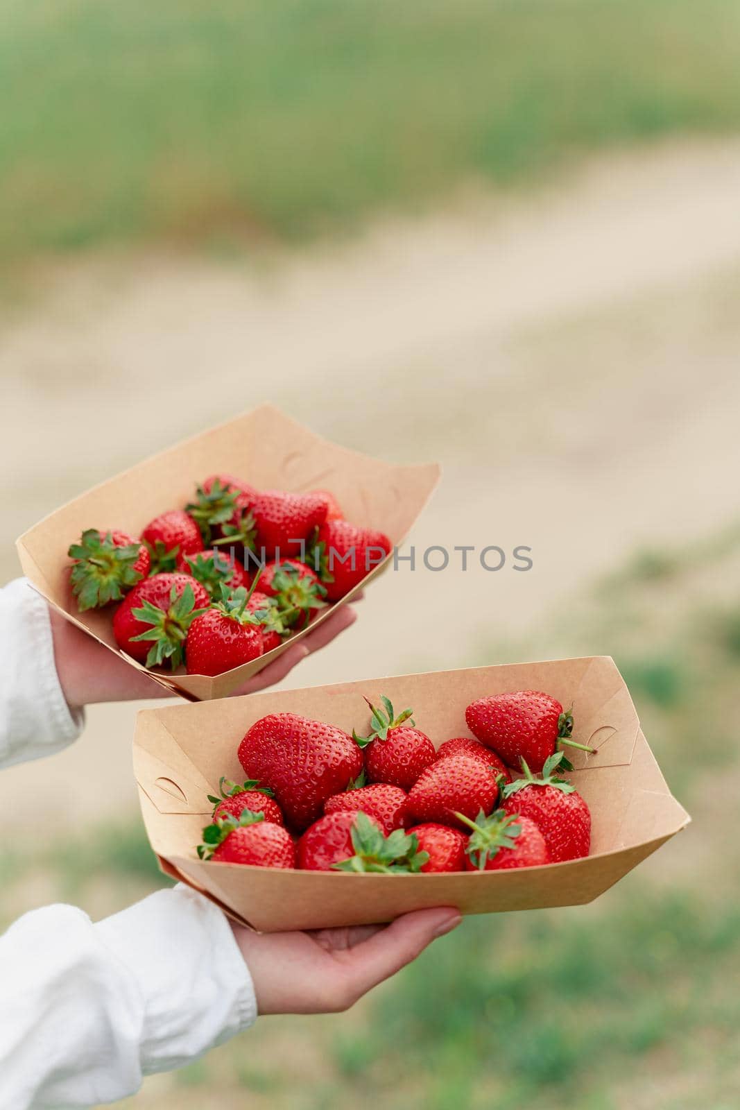 Strawberry in disposable eco plate in woman hands on green background.