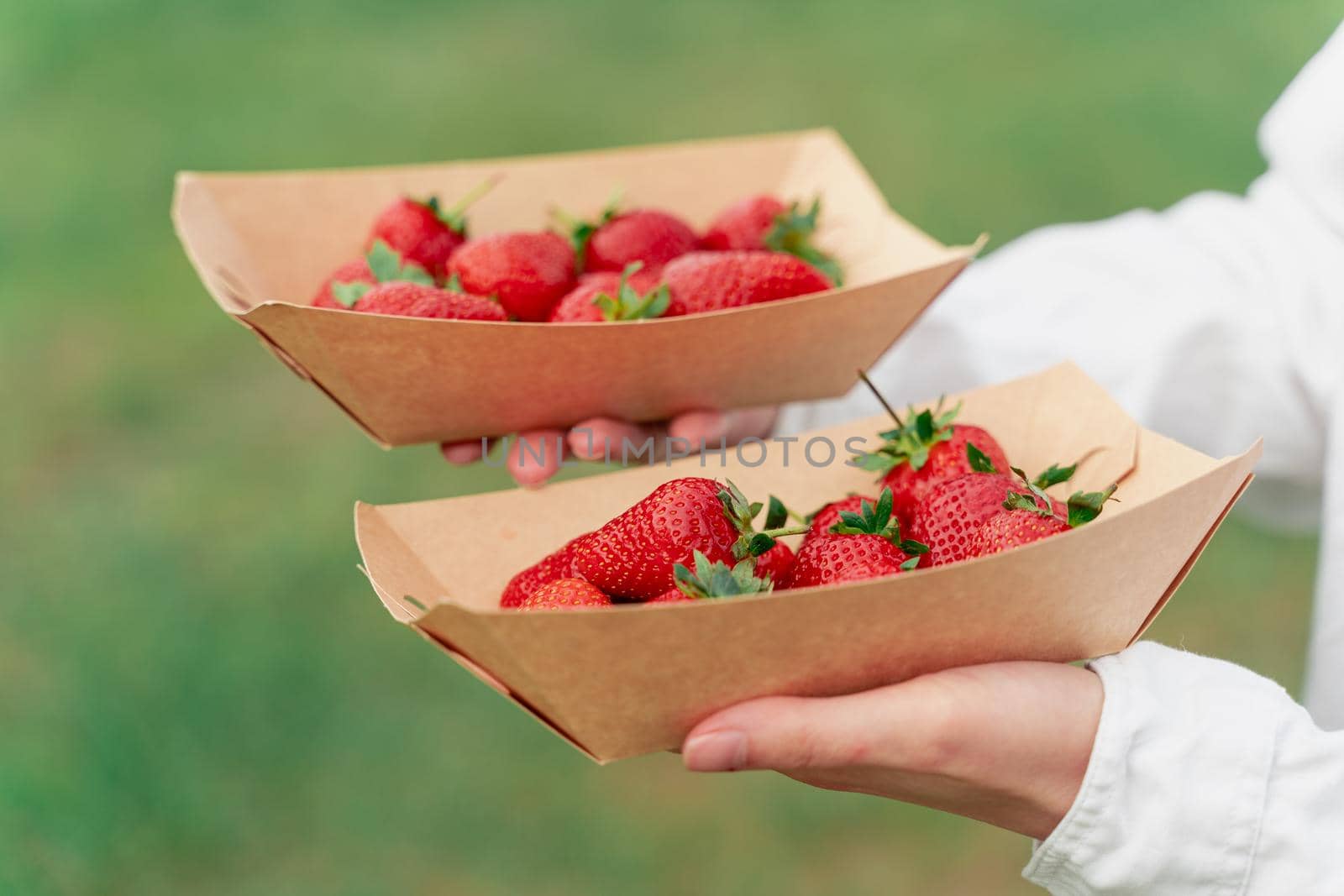 Strawberry in disposable eco plate in woman hands on green background.