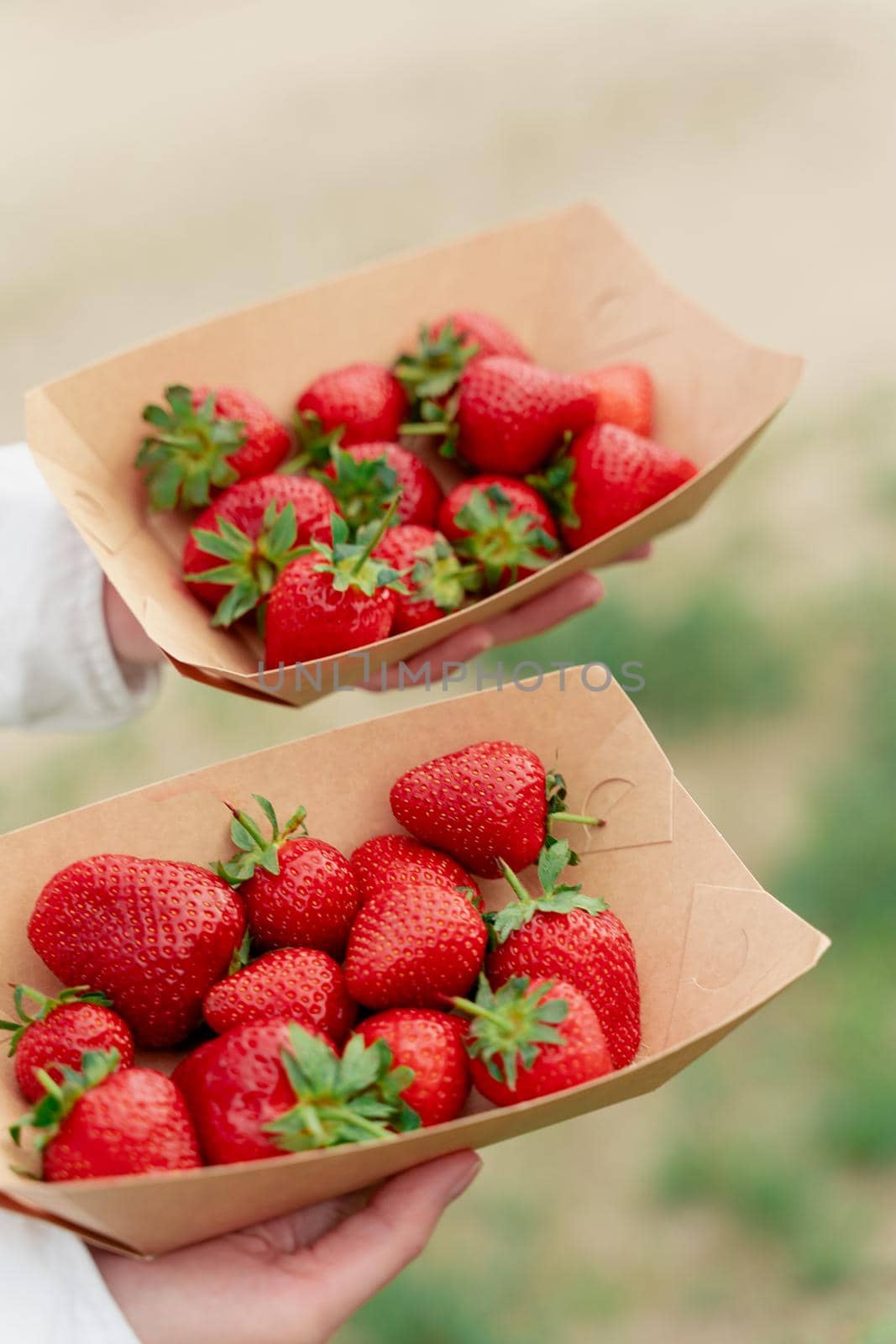 Strawberry in disposable eco plate in woman hands on green background.