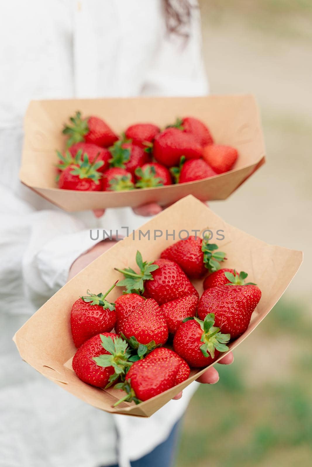 Strawberry in disposable eco plate in woman hands on green background.