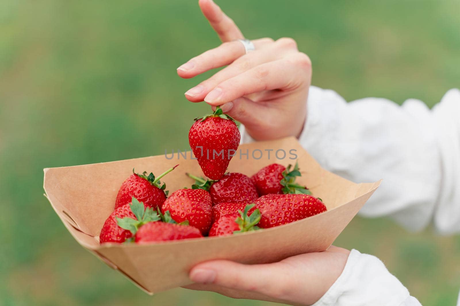 Holding strawberry in hand. Strawberries in disposable eco plate on green background. Seasonal red berry.